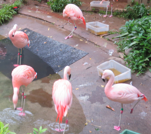 スクリーンショット 2024-11-20 121439.png