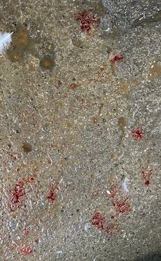 ミルク吐き (2).jpg