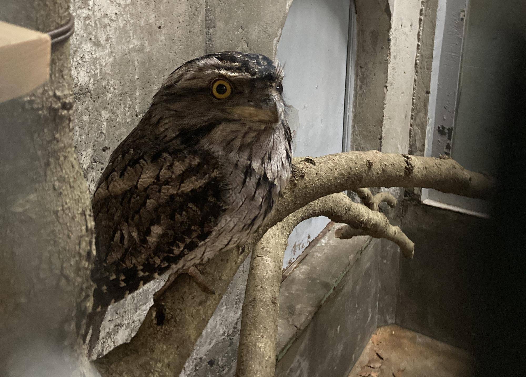 ゼンザイ - コピー.jpg