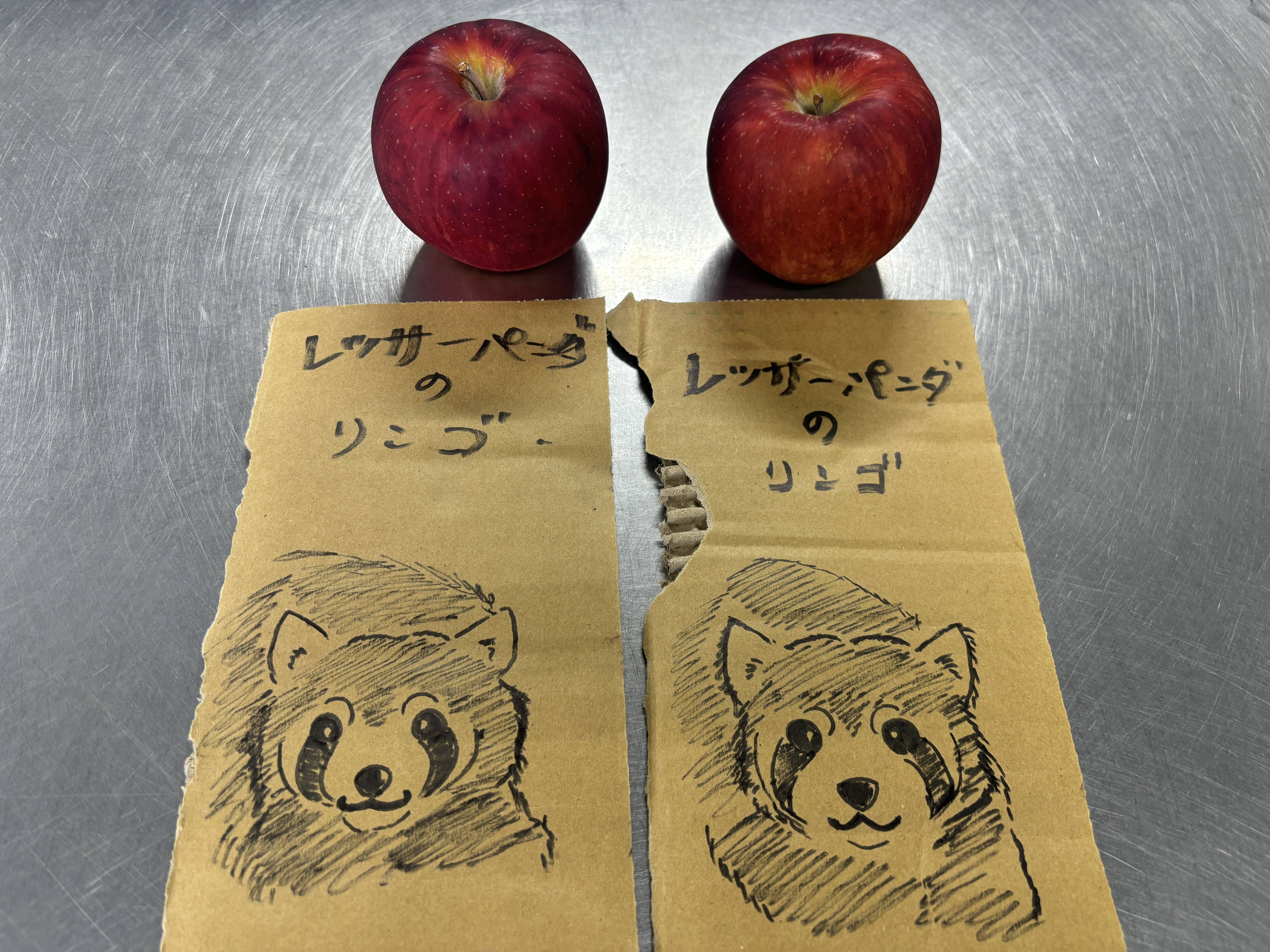 ⑩2個のリンゴと2枚のレッサーパンダの顔の絵.jpg