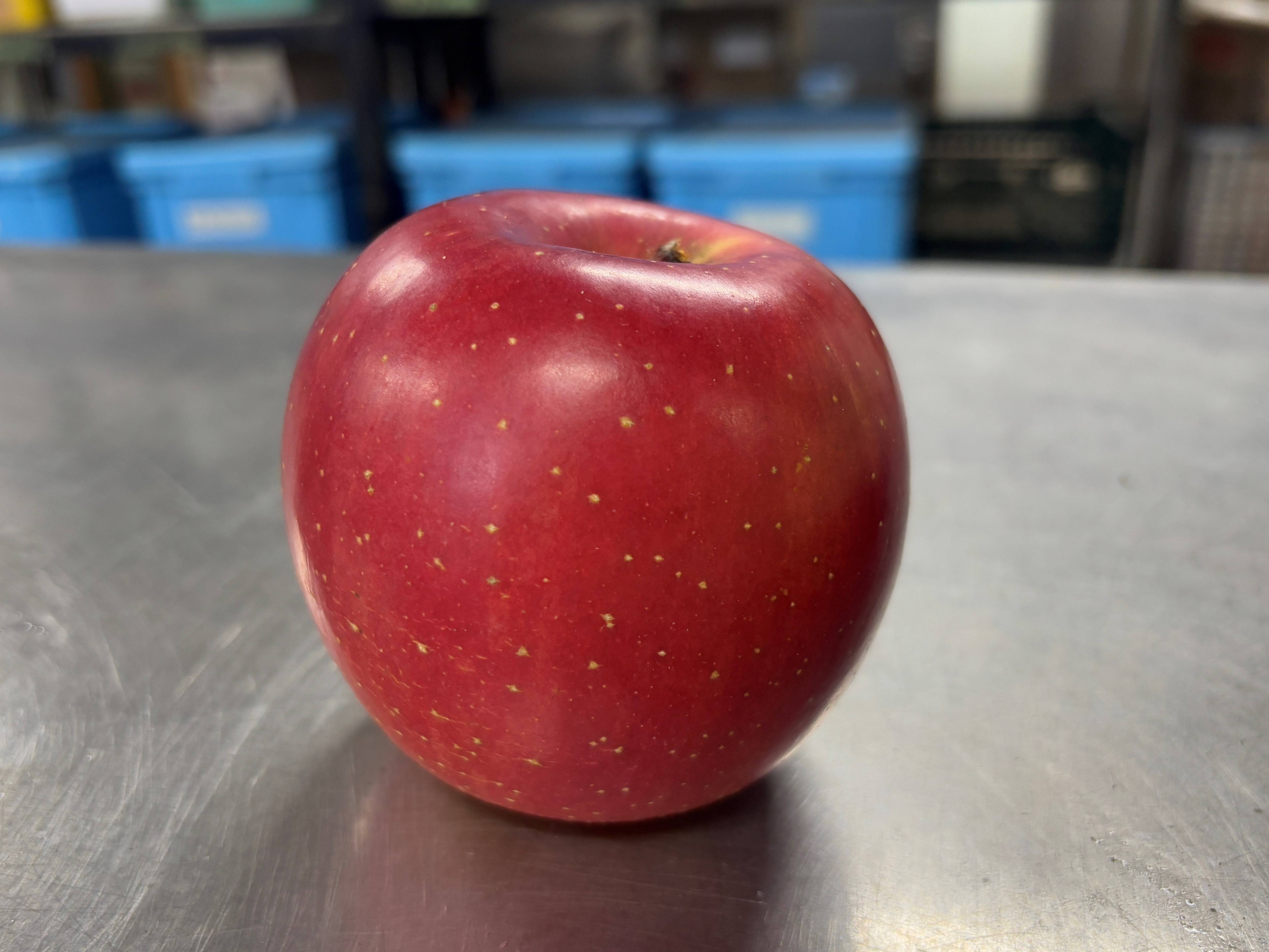 ②ピッカピカのリンゴ.jpg