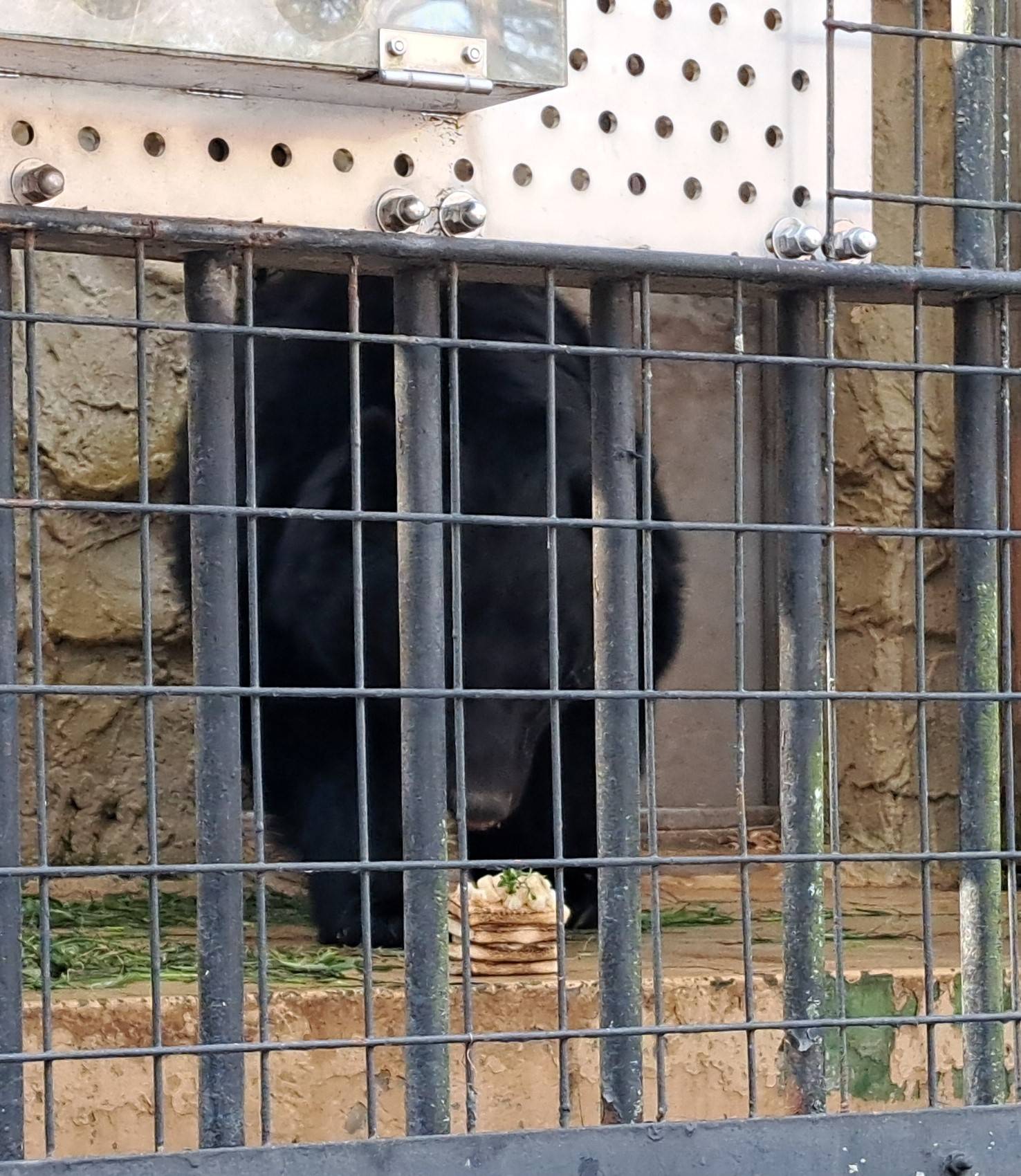 20250211_134717 コピー.jpg