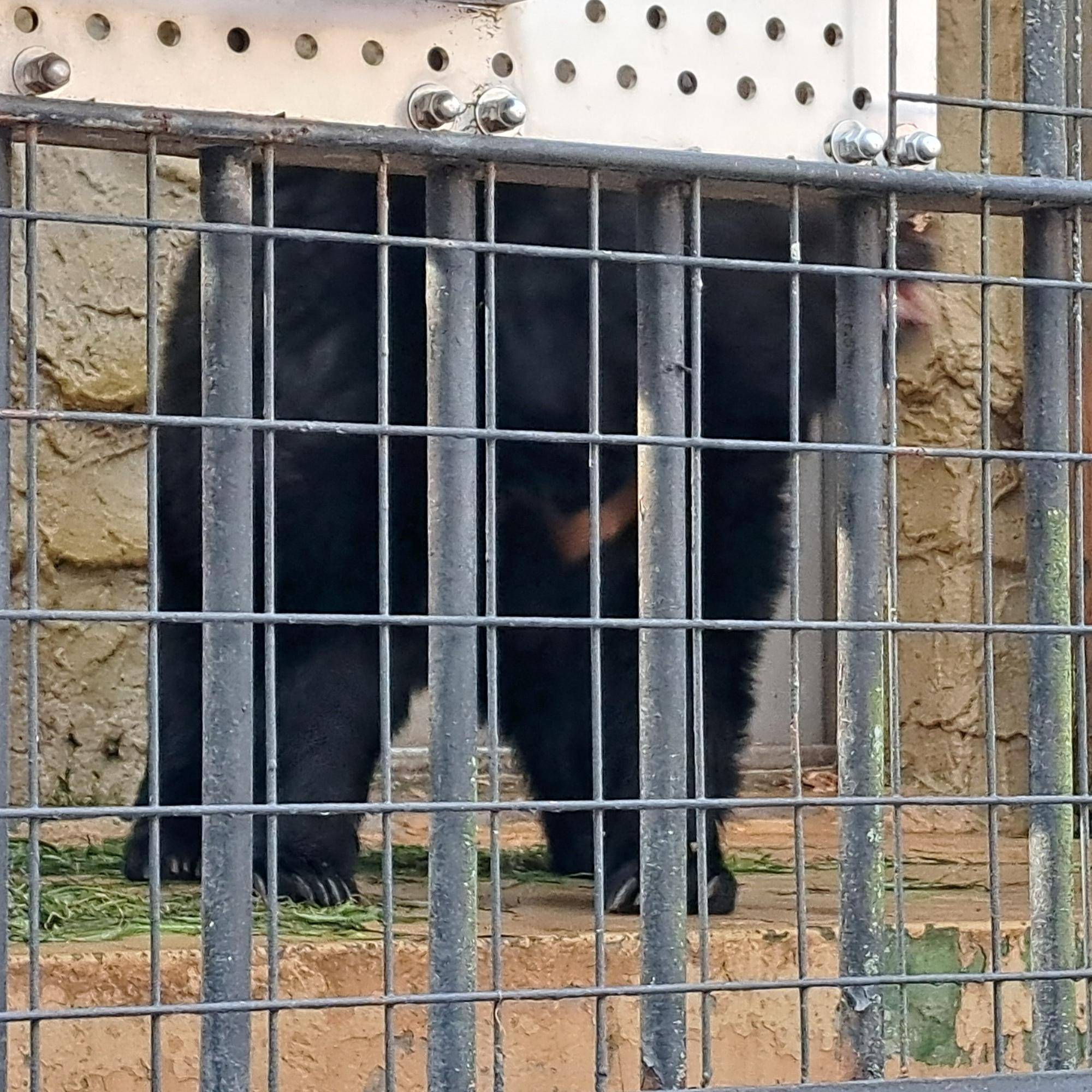 20250211_134740 コピー.jpg