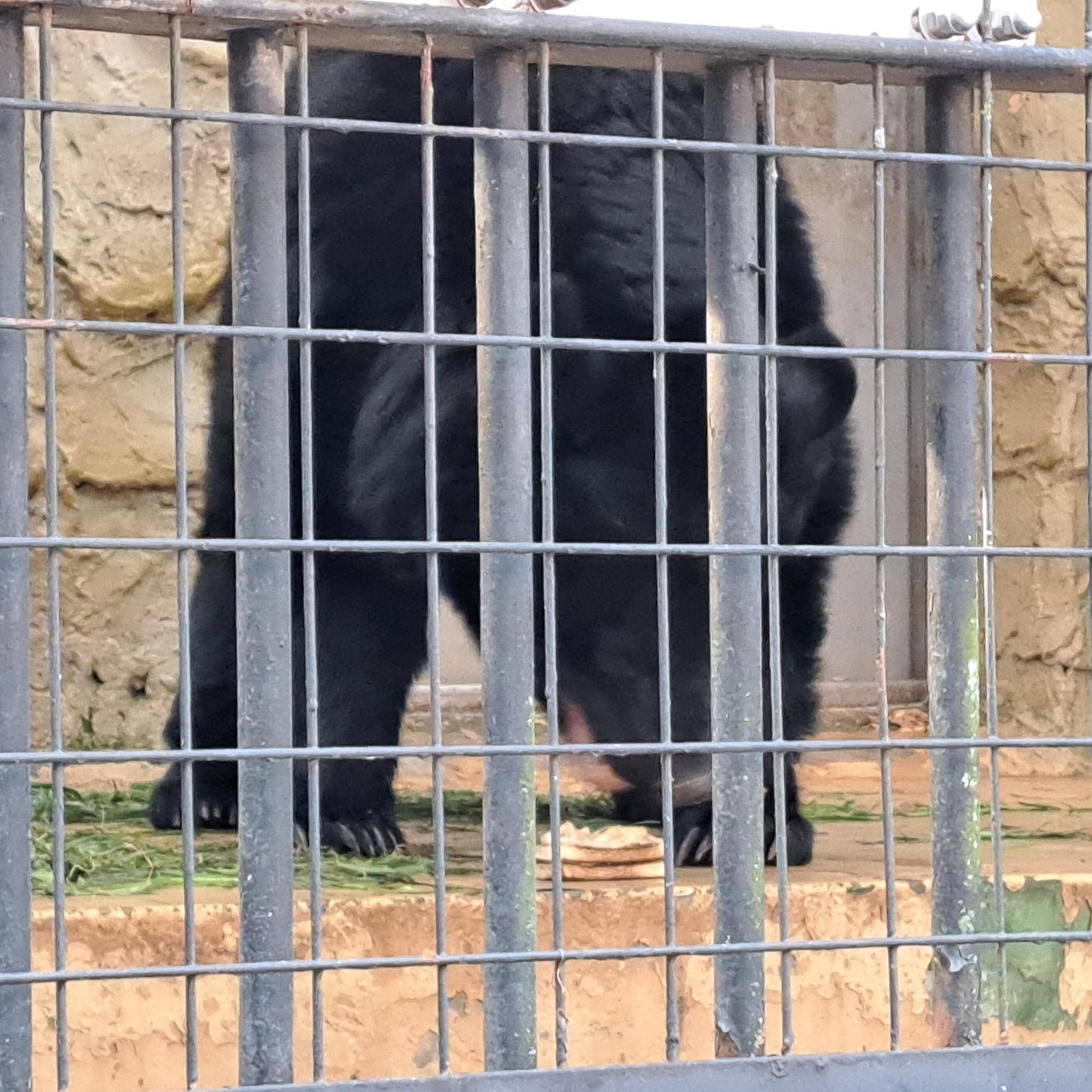 20250211_134727 コピー.jpg