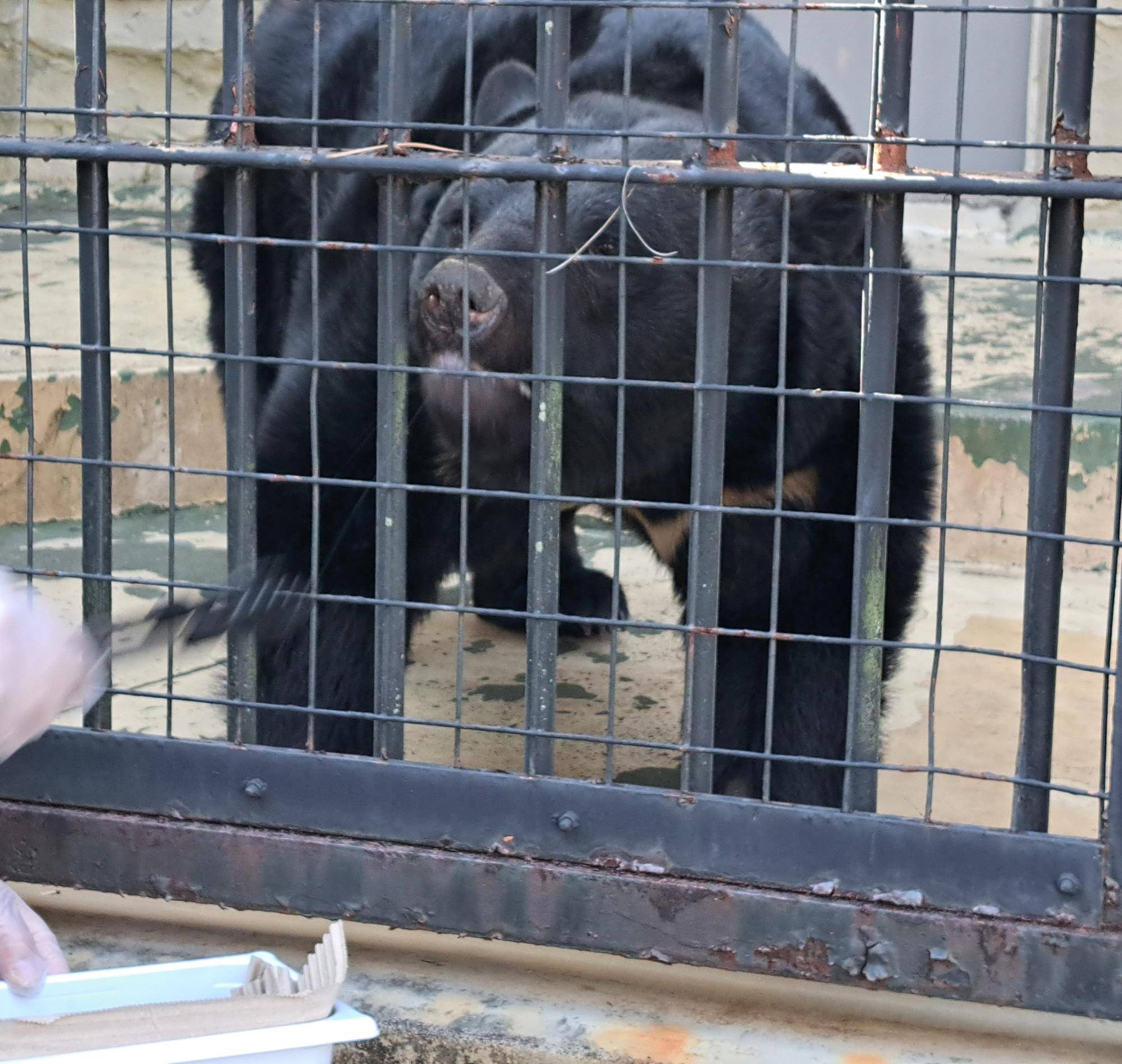 20250211_134129(0) コピー.jpg