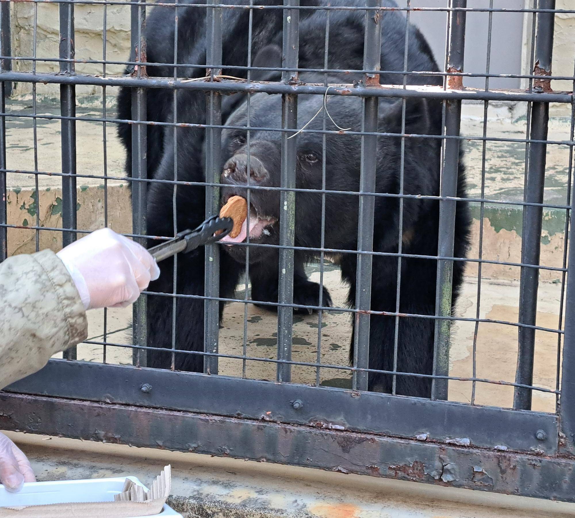 20250211_134129 コピー.jpg