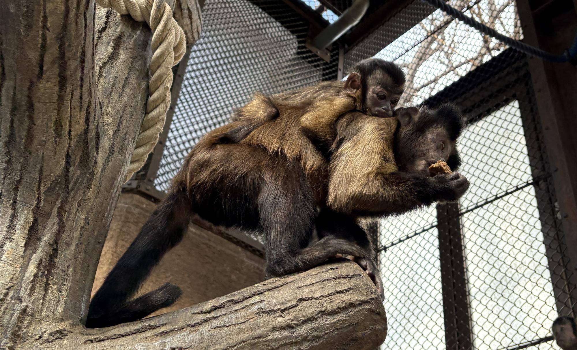 1739437601820 コピー.jpg