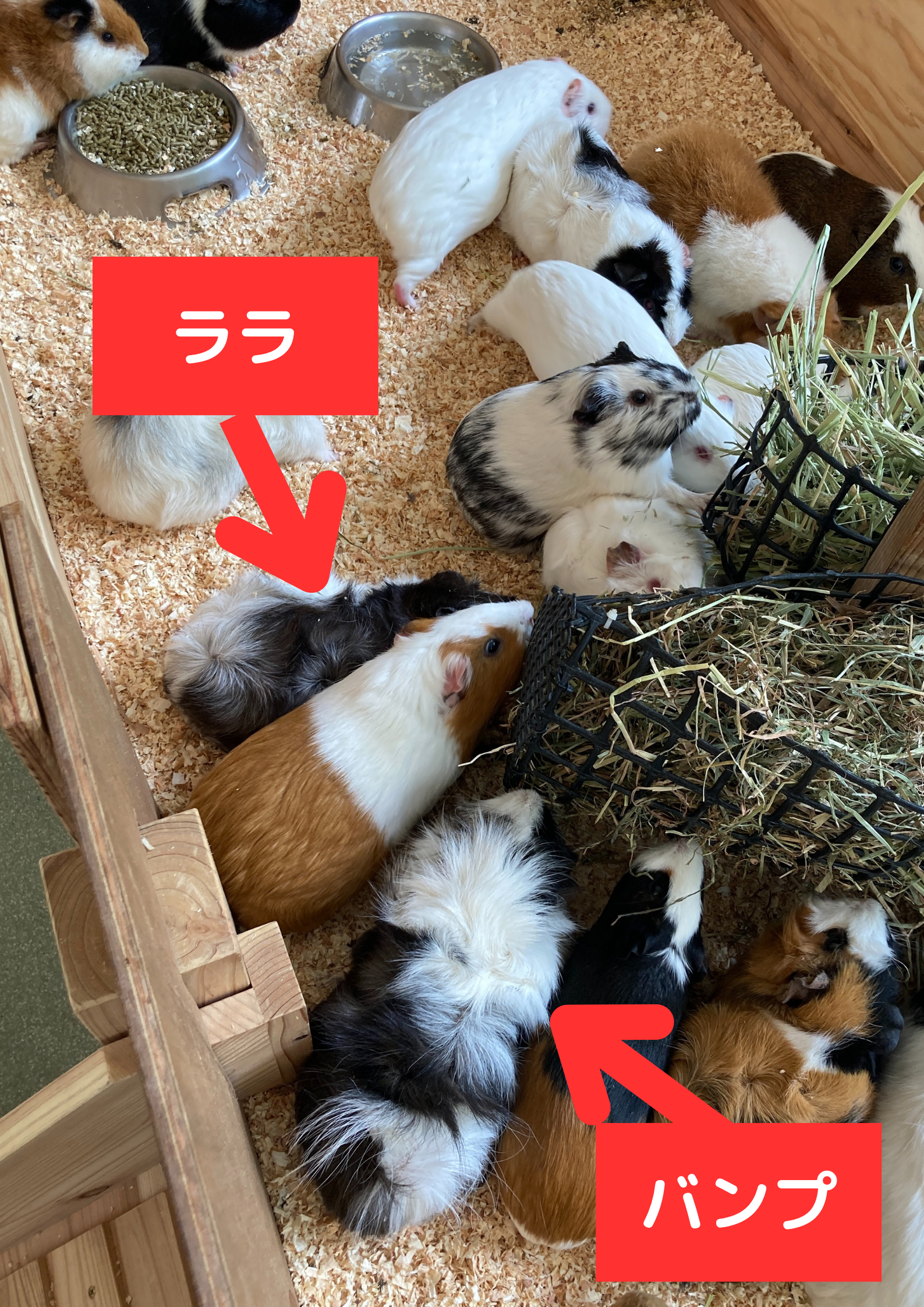 誰でしょうか解答 (2).png