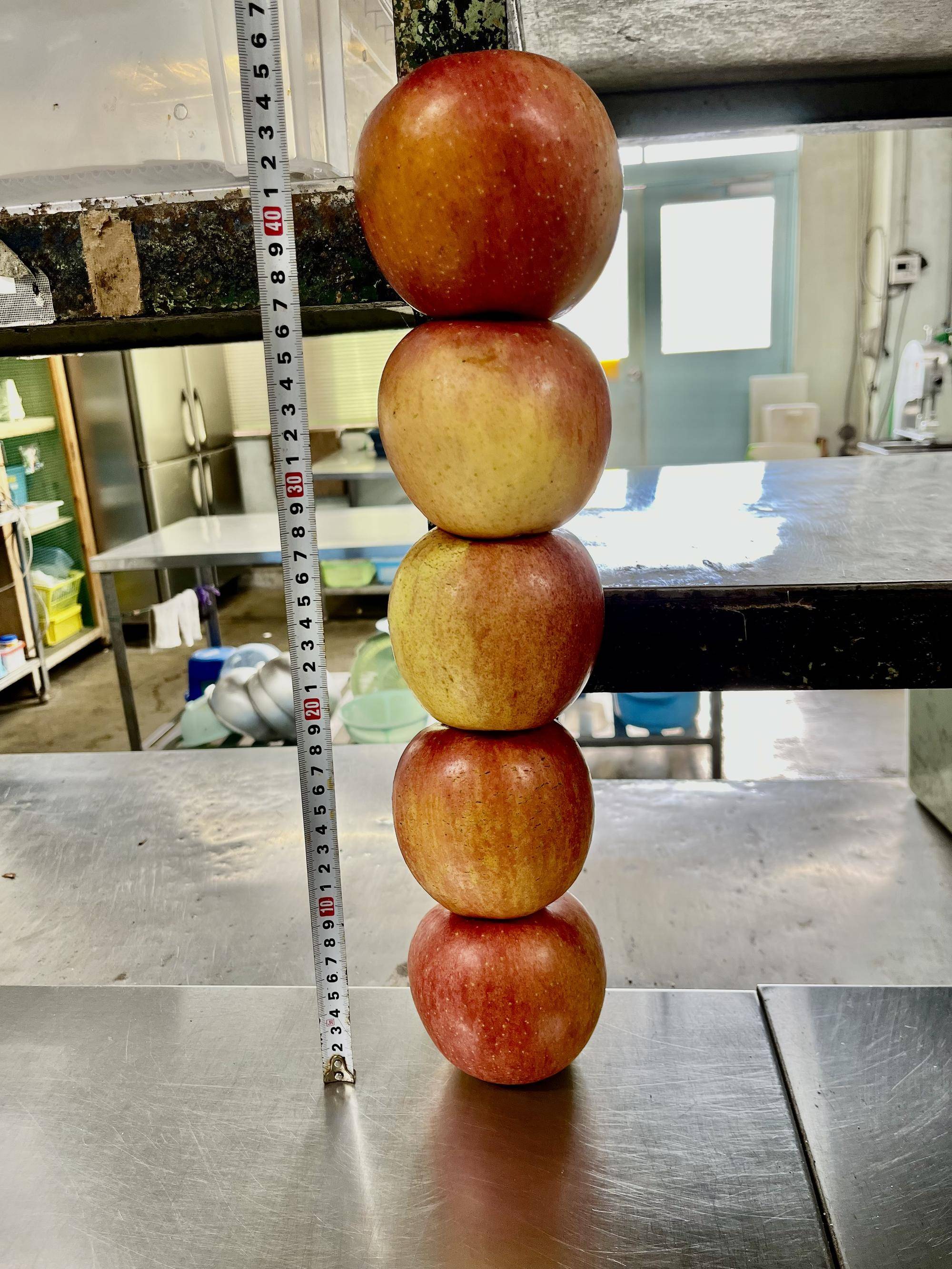 身長リンゴ5個分.jpg
