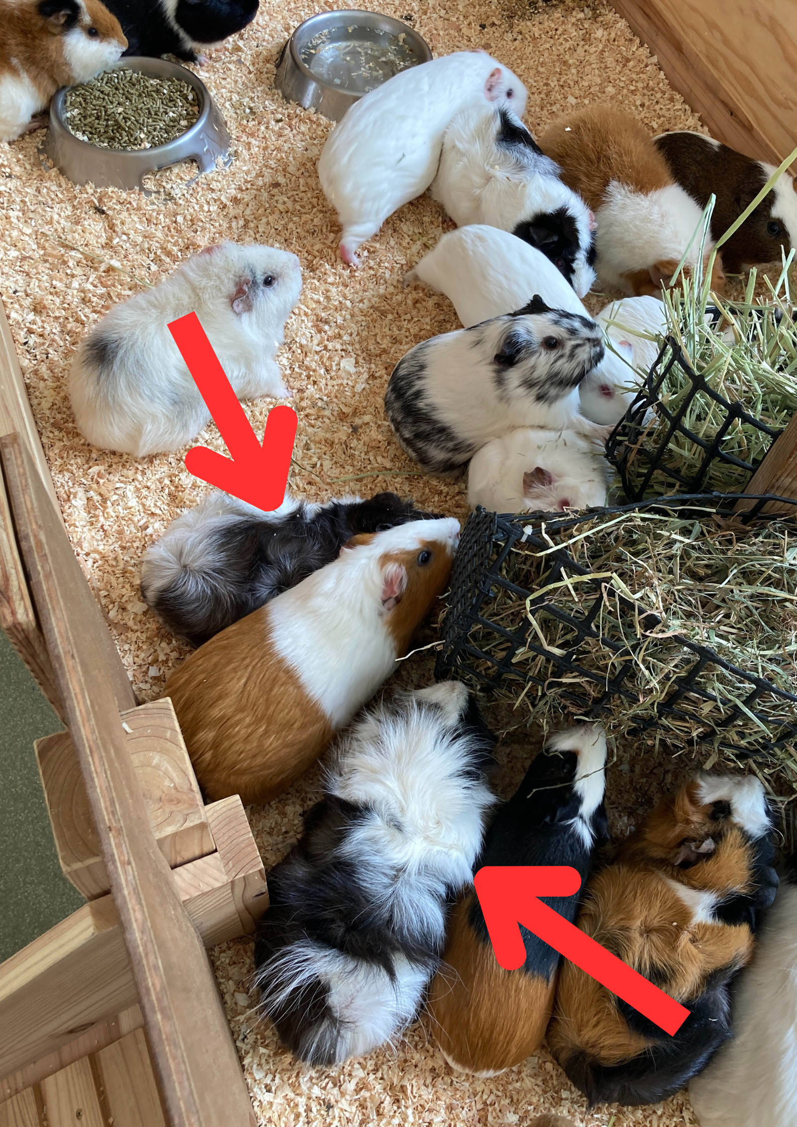 誰でしょうか? (2).png