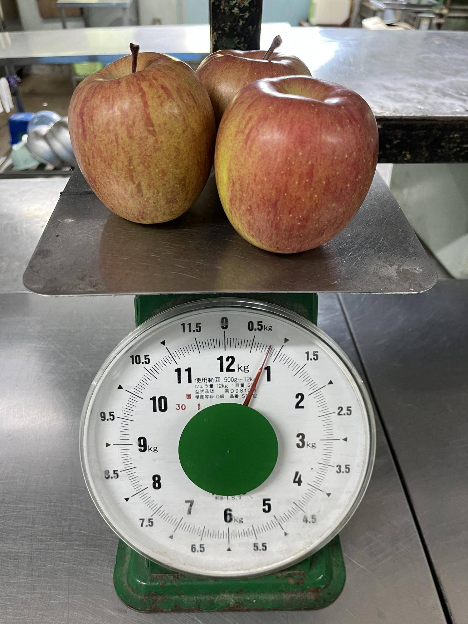 体重リンゴ3個分.jpg