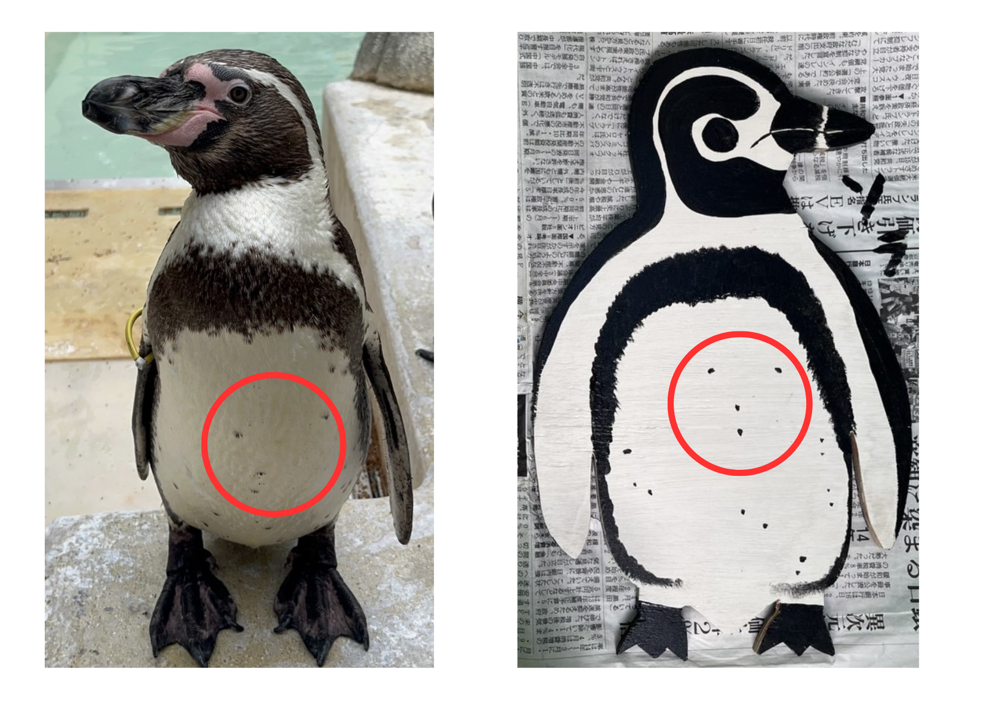 ミナト ユイ (1).png