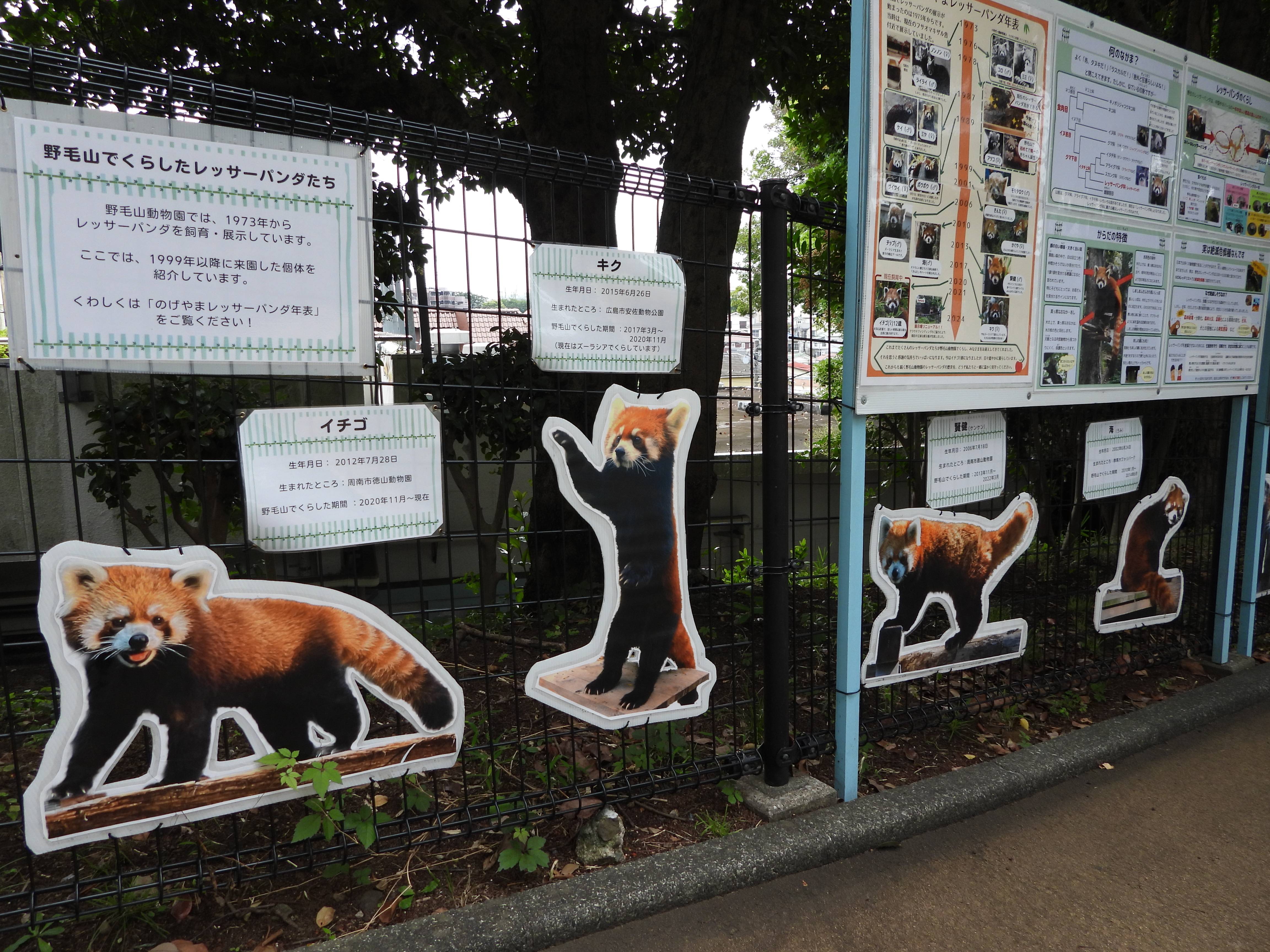 レッサーパンダ看板.jpg