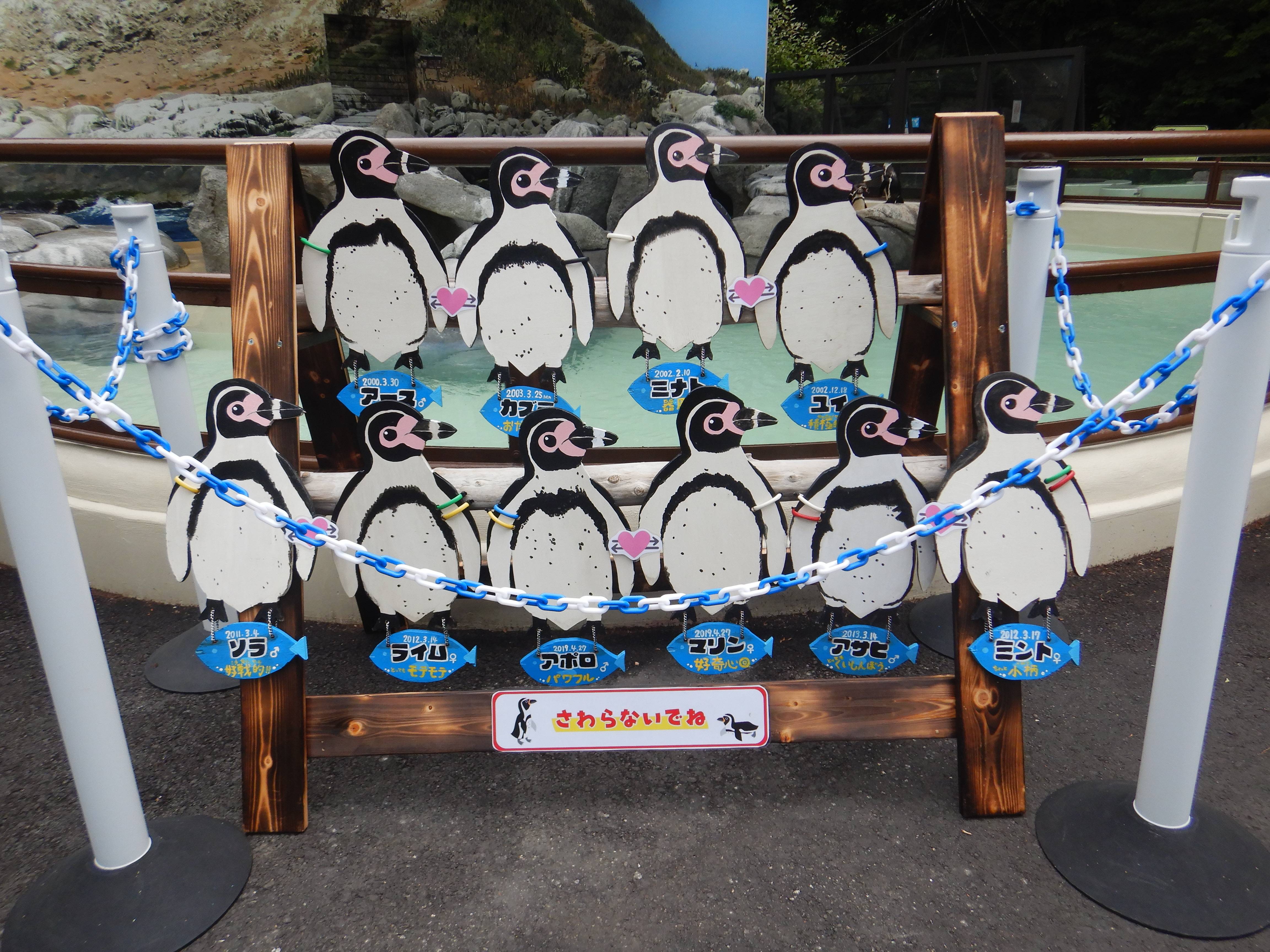 ペンギン看板.jpg