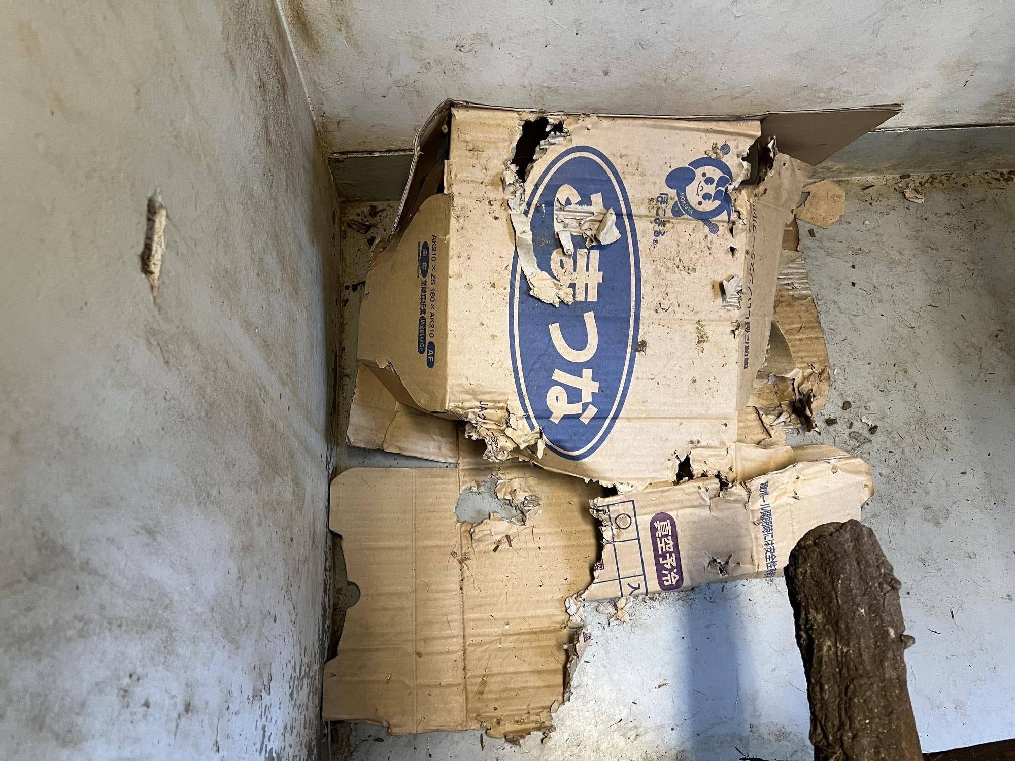 ボロボロになった段ボール②.jpeg