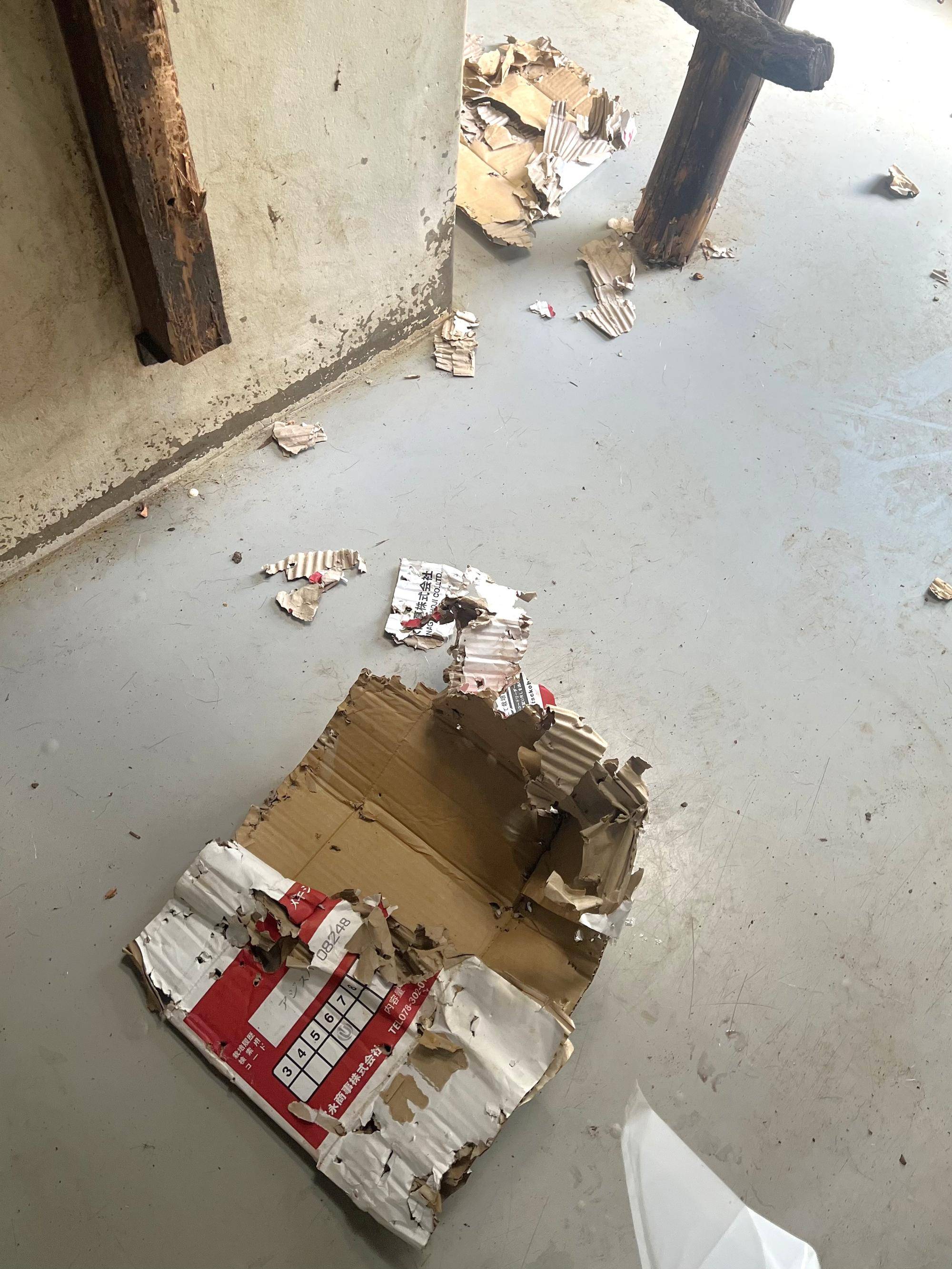 ボロボロになった段ボール.jpeg