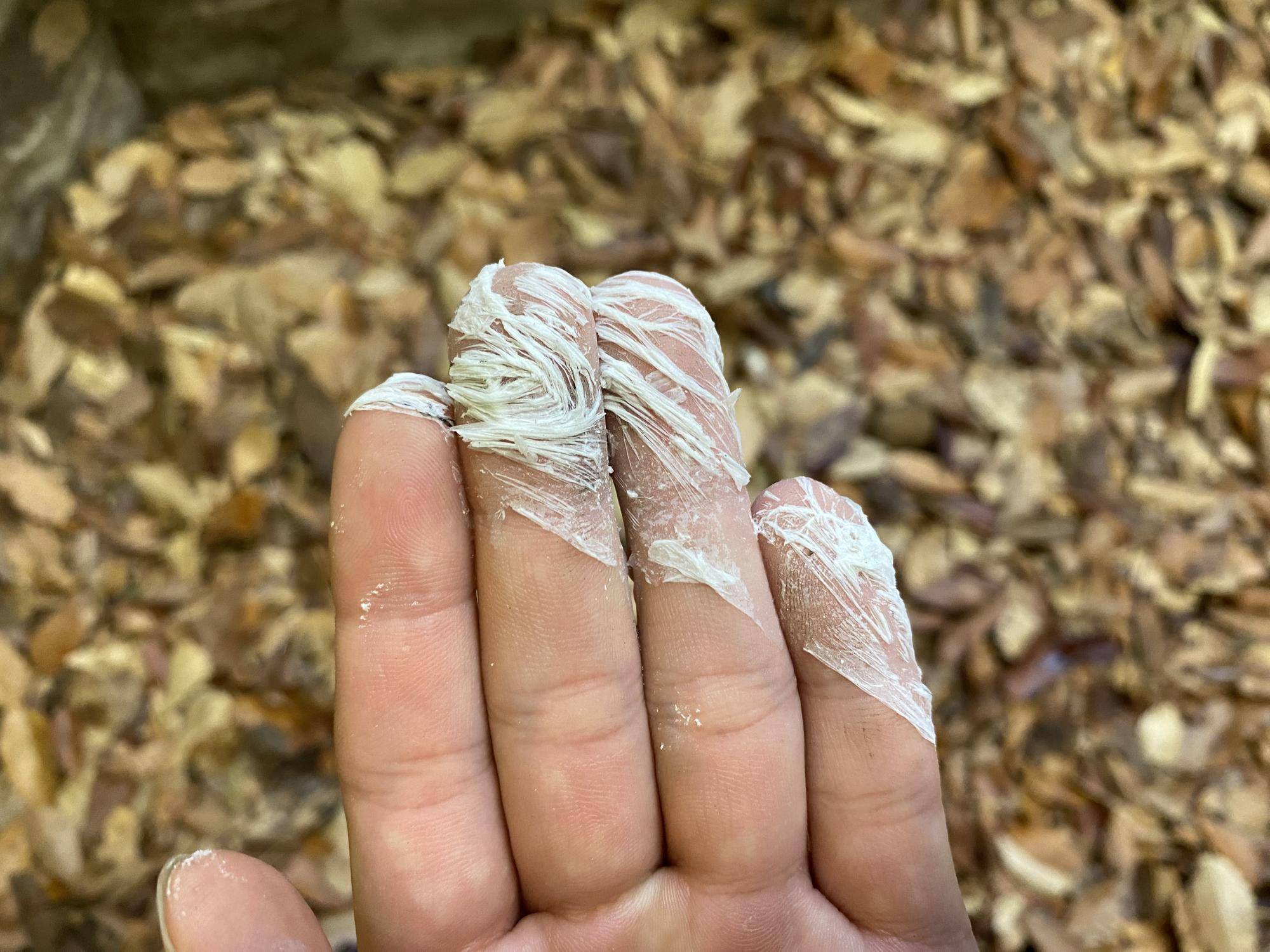 すくった粉綿羽.jpg