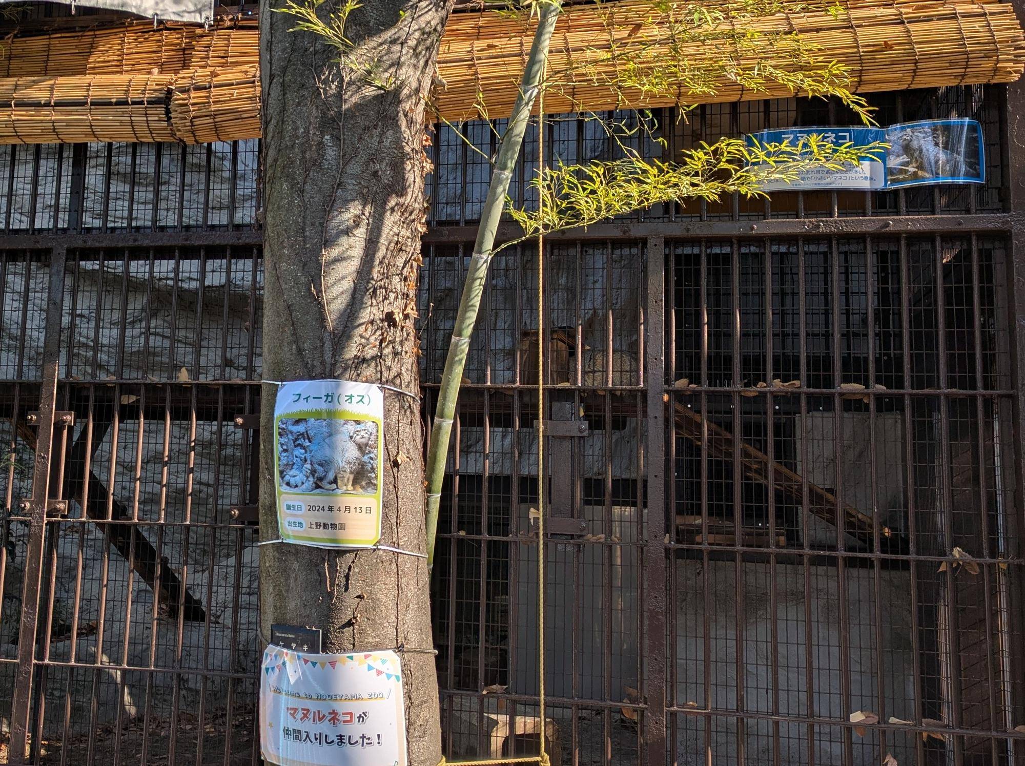 外で寝る広角 - コピー.jpg