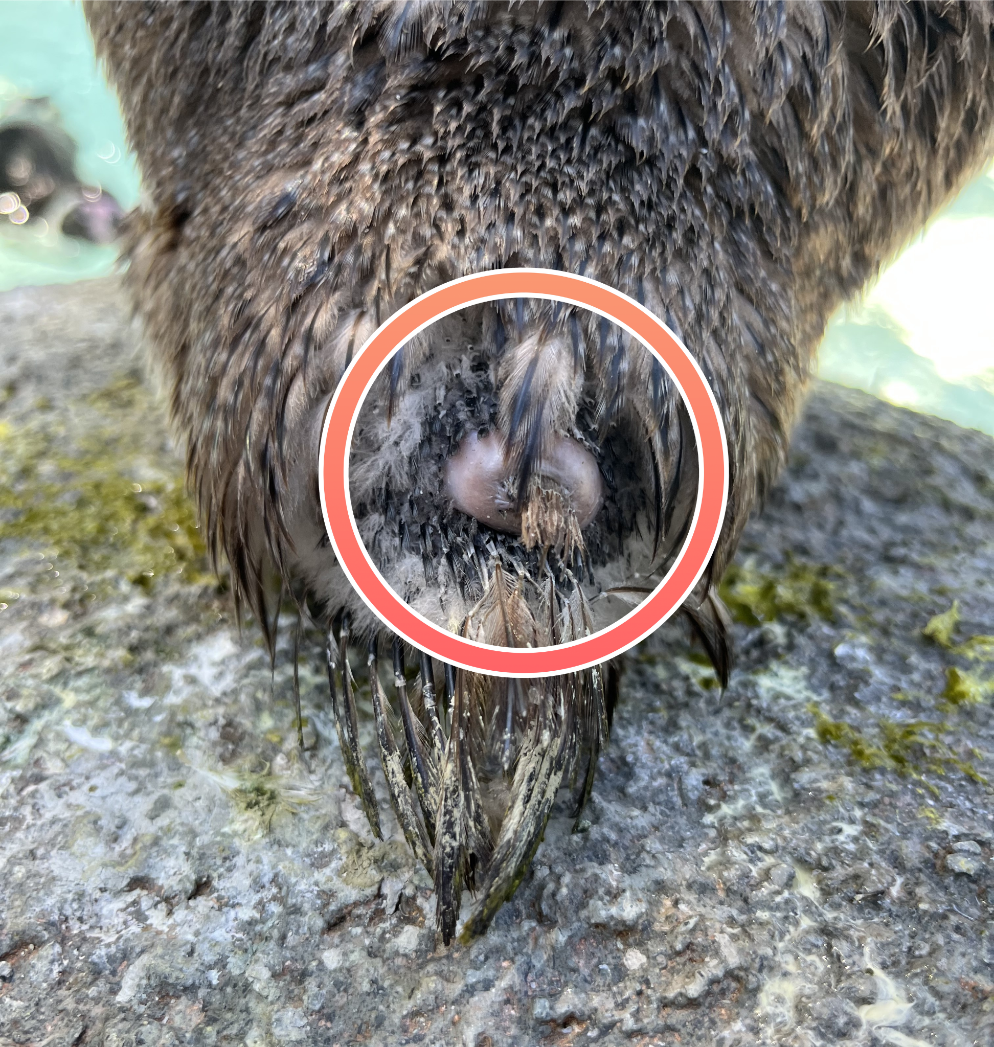 名称未設定のデザイン (4).png