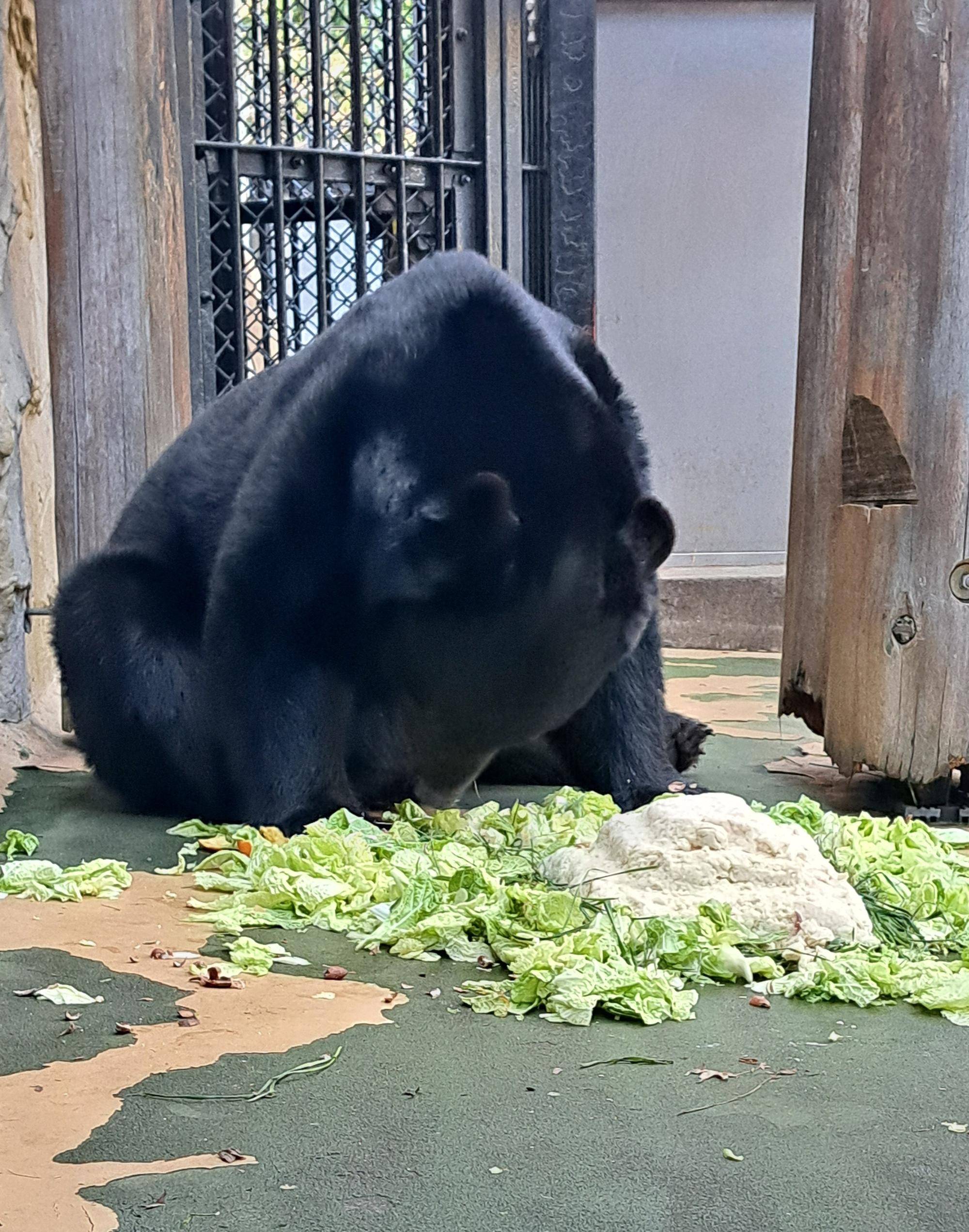 20260103_135006 コピー.jpg