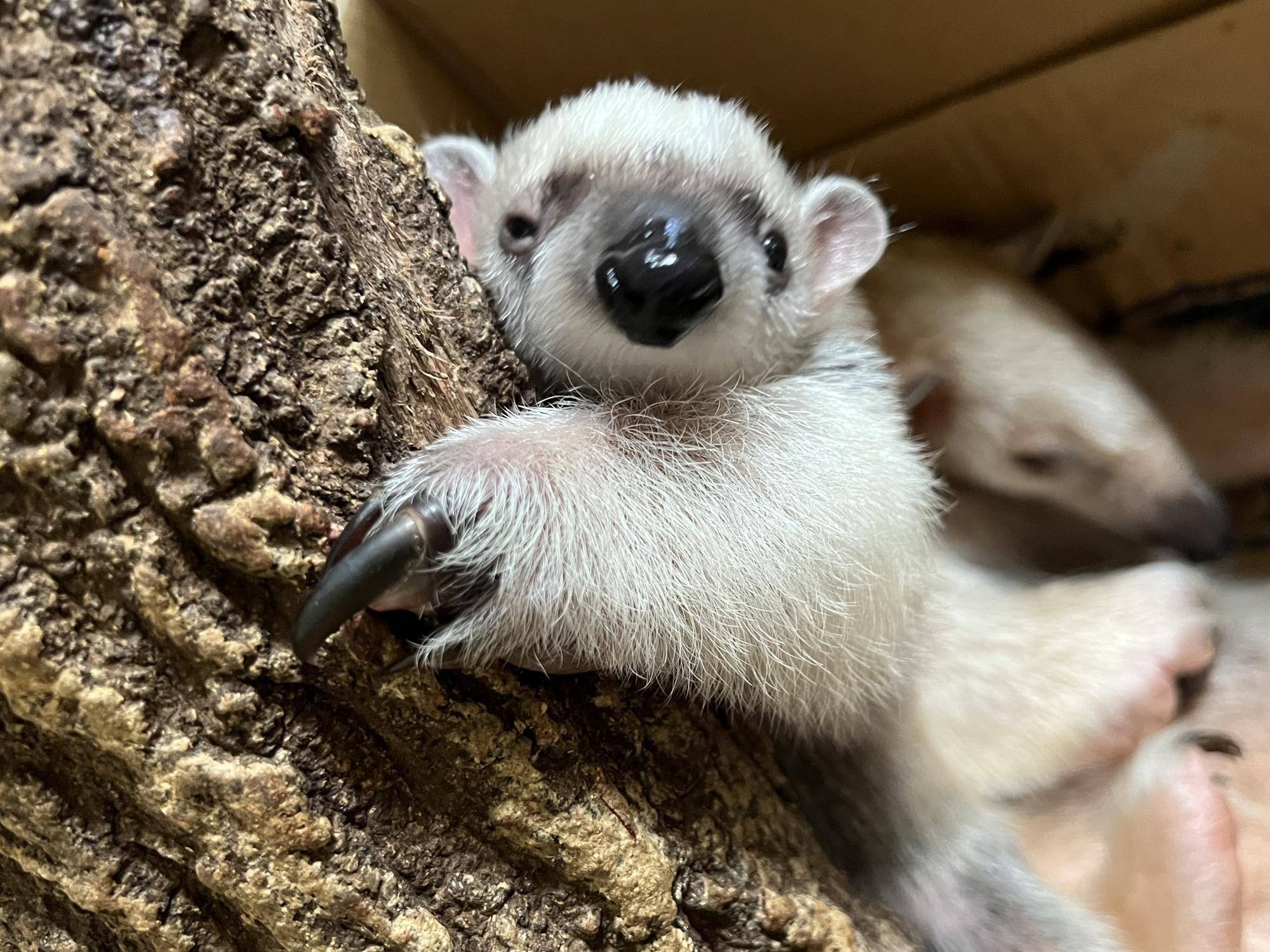 ウインク (2).jpeg