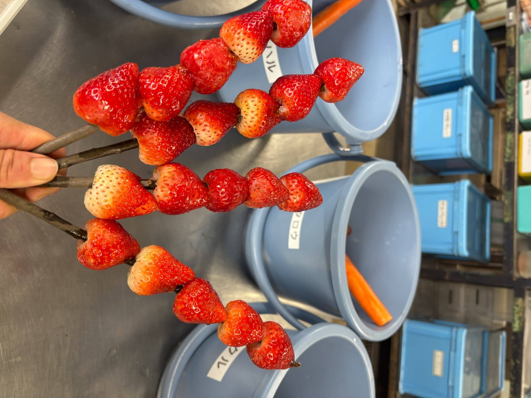 ②イチゴ串4本.jpg