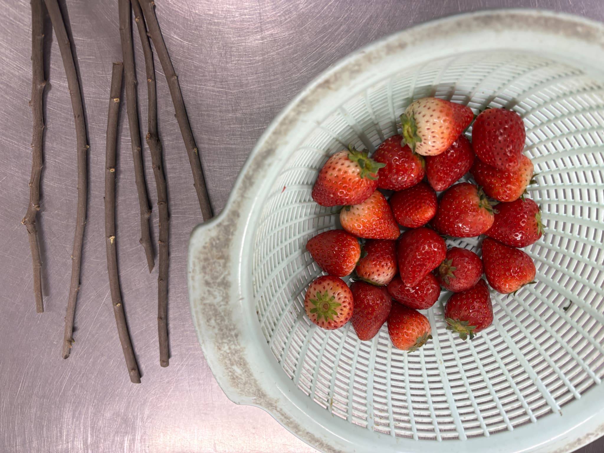 ①イチゴをもらいました.jpg