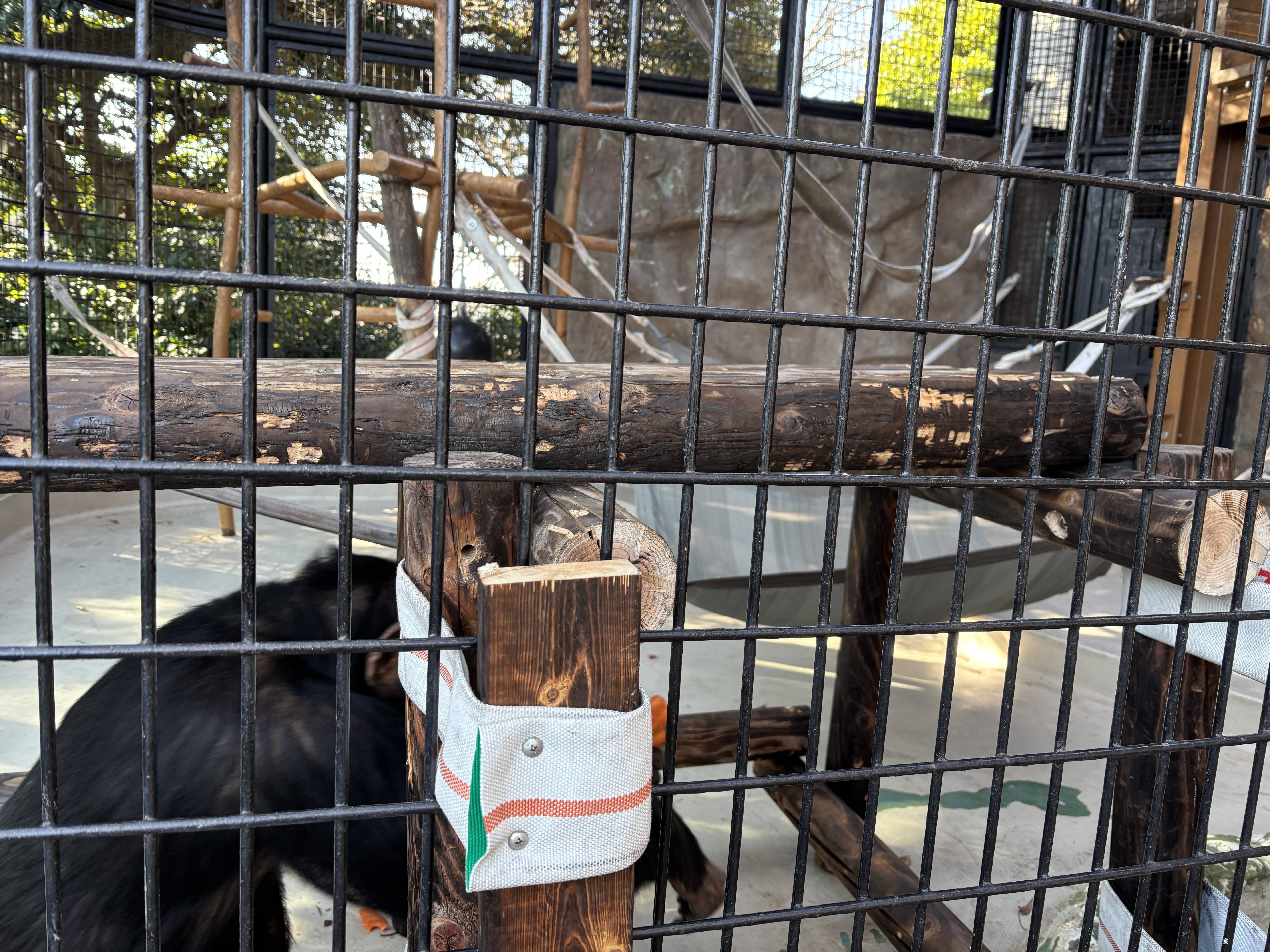 ⑤すでにコウタロウの歯形だらけの台.jpg