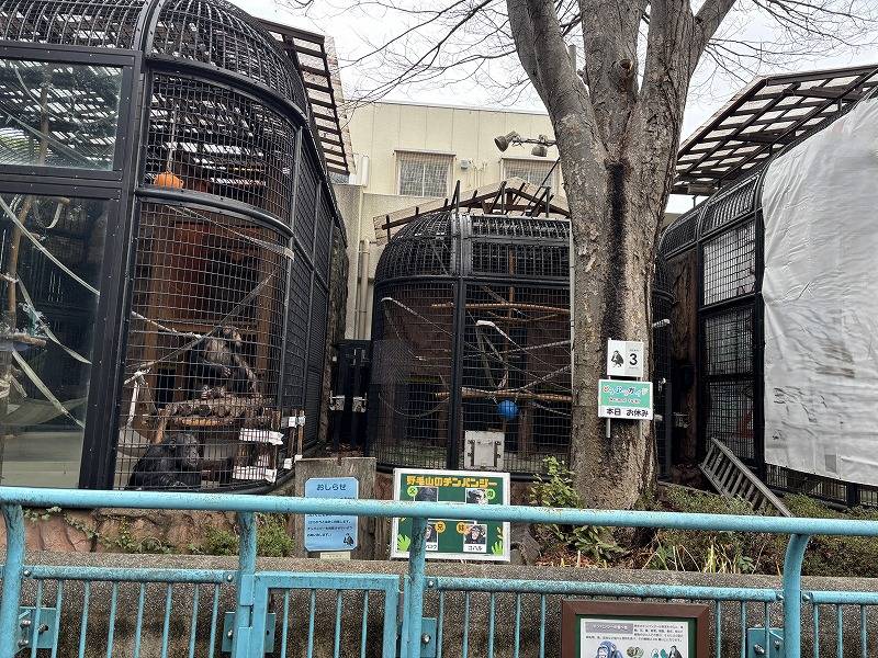 ⑥工事中の展示場を眺めるコブヘイとコウタロウ.jpg