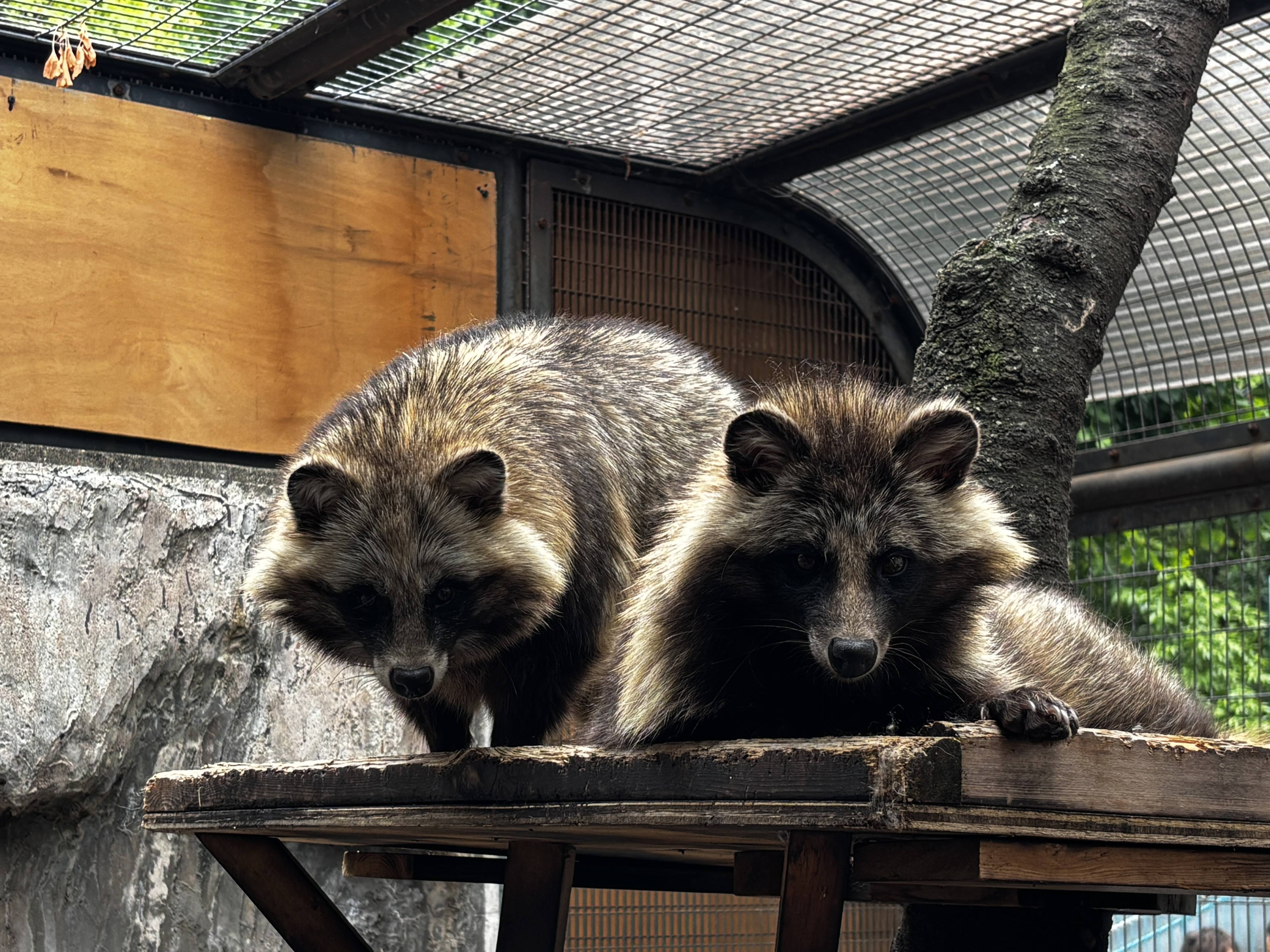 ①展示場に並ぶヒフミとウタ.jpg