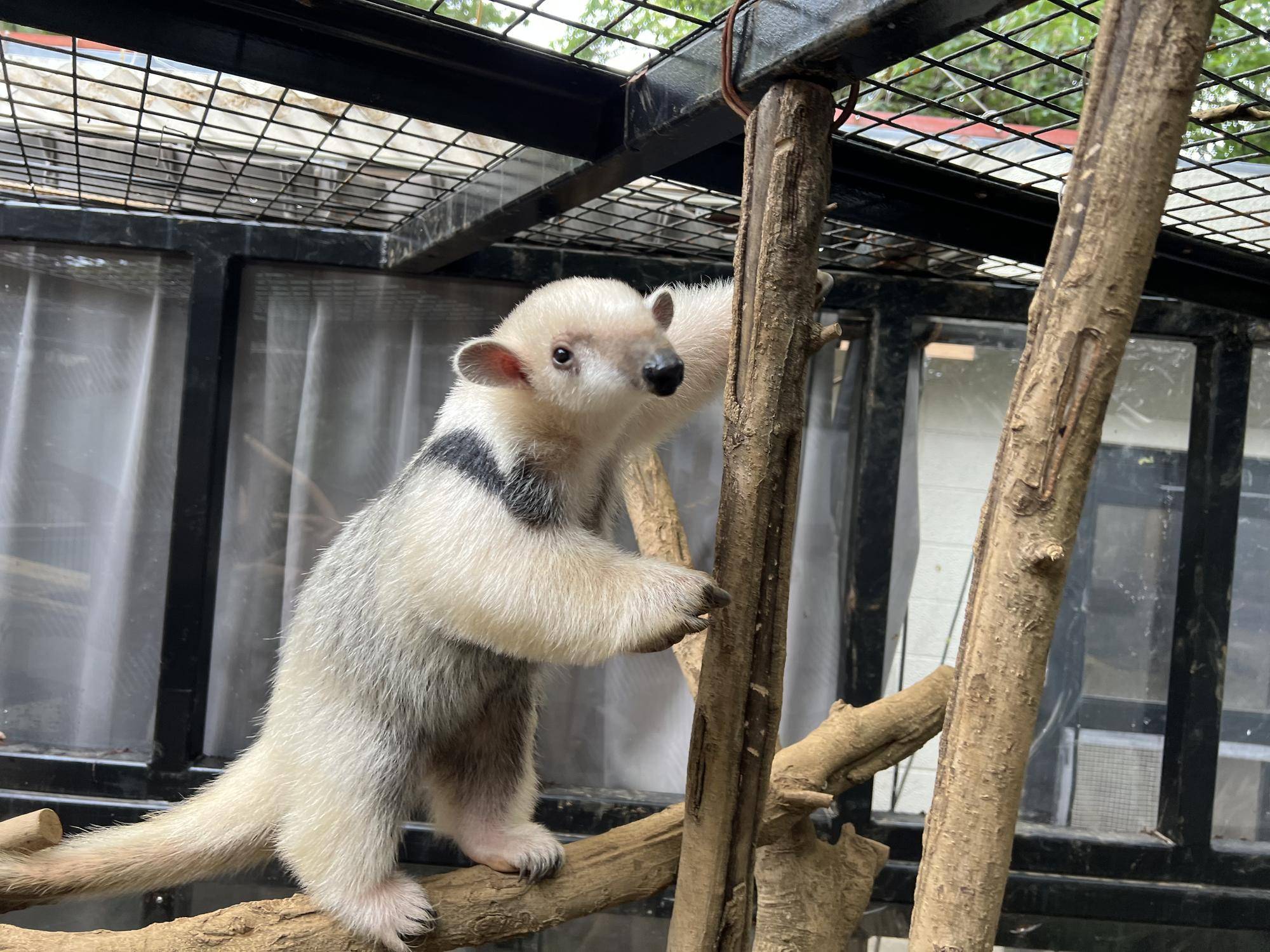 展示場のふく.jpeg