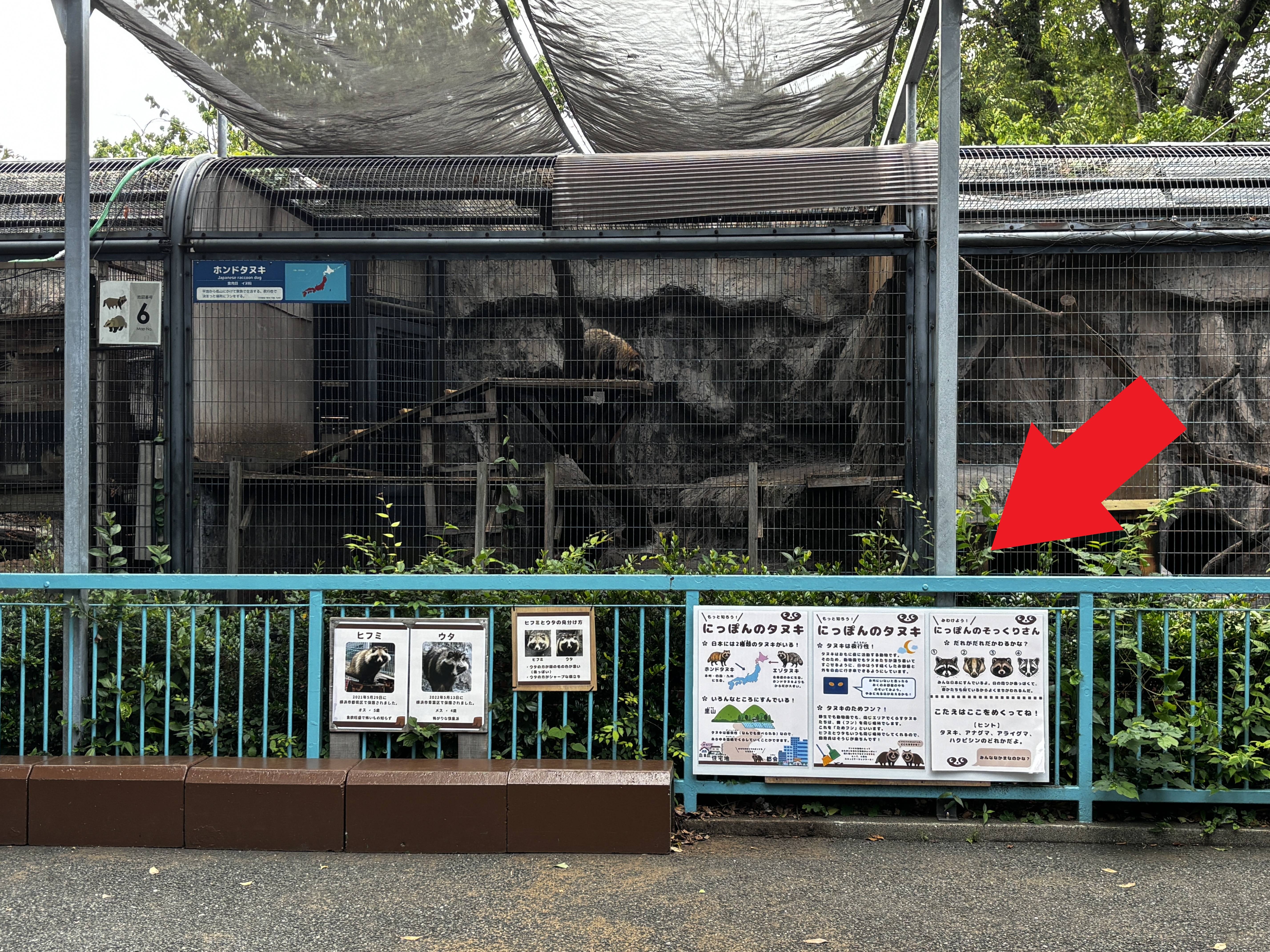 ⑭タヌキ展示場前に貼ったパネル.jpg