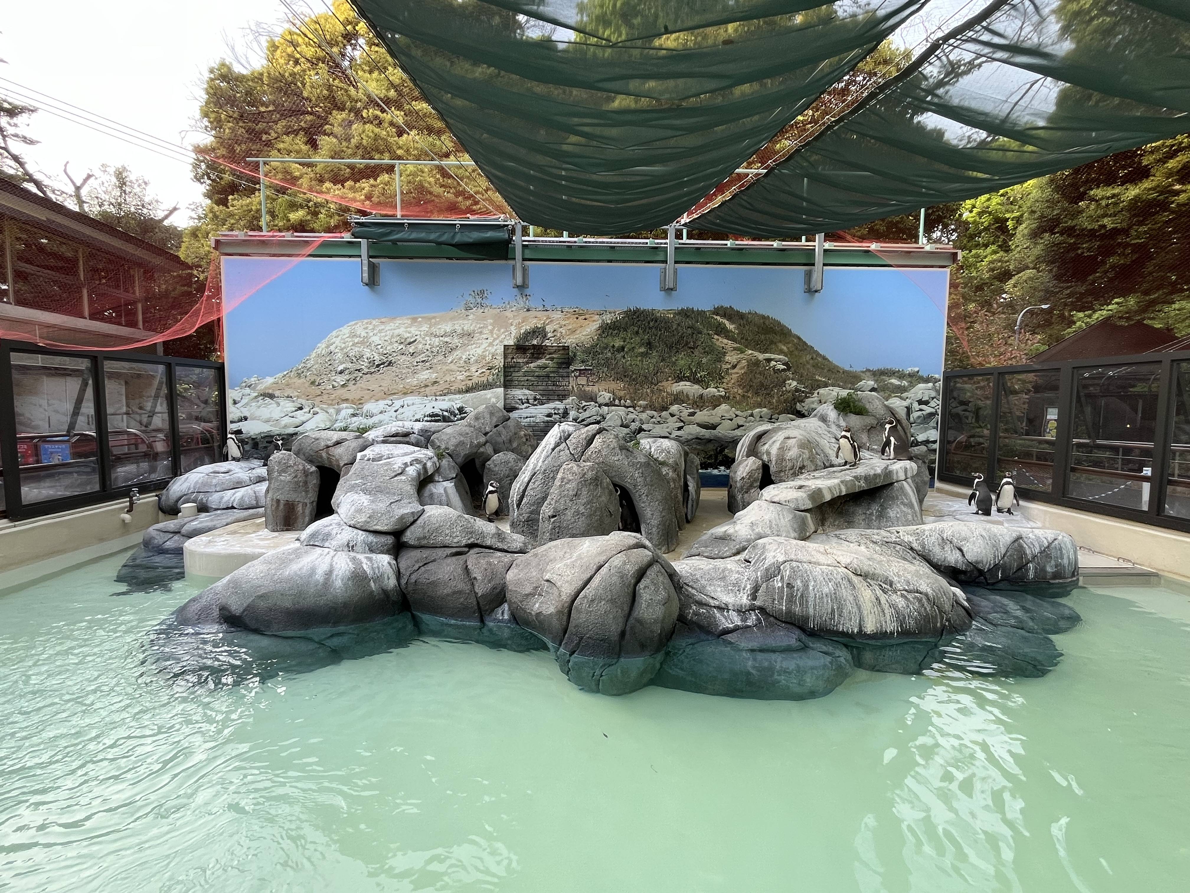 現在のペンギン舎.jpg