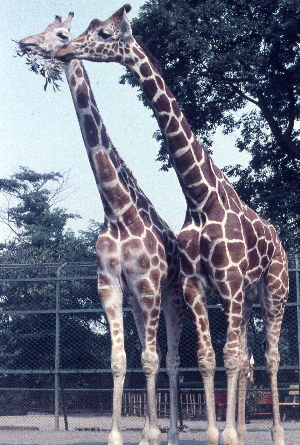 ①.jpg