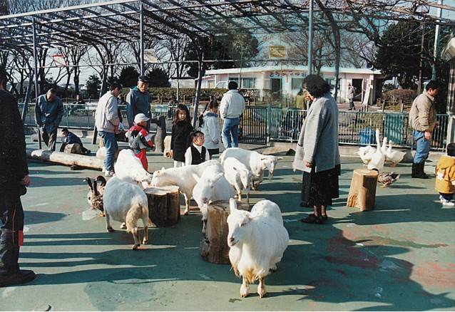 動物の広場.jpg