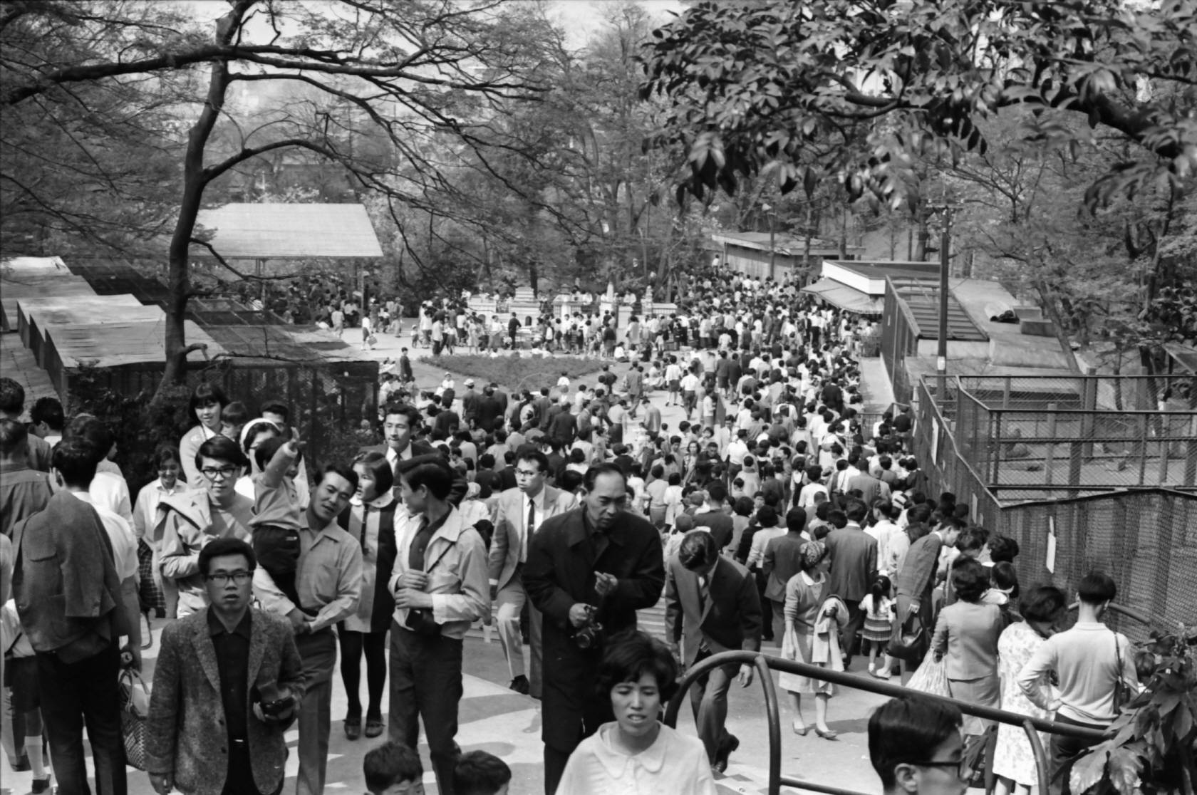 シカ舎前1970年頃.jpg