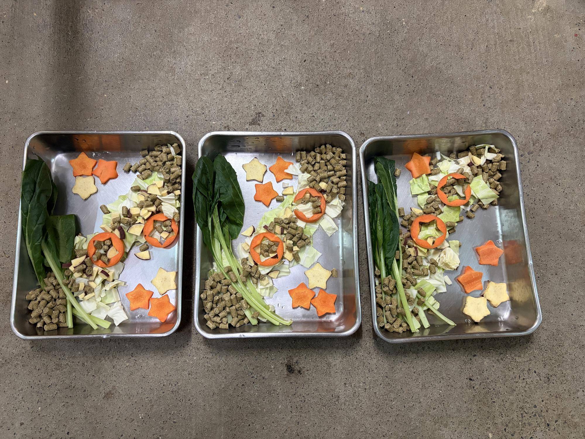 七夕ごはん(夕方).jpg