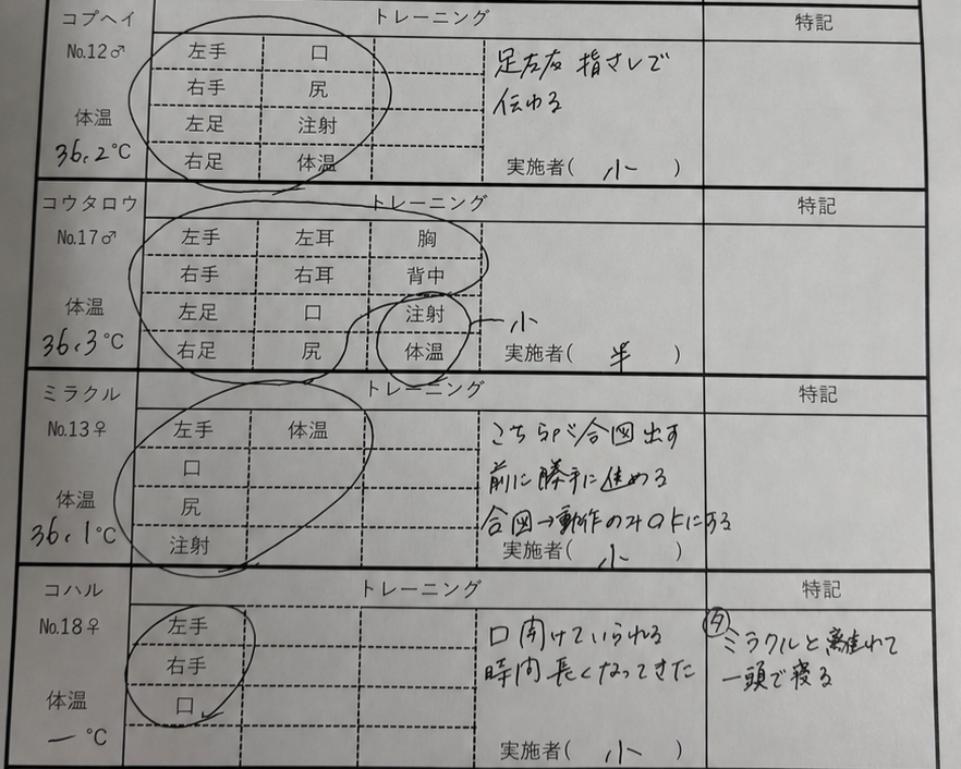 ⑤飼育日誌.png