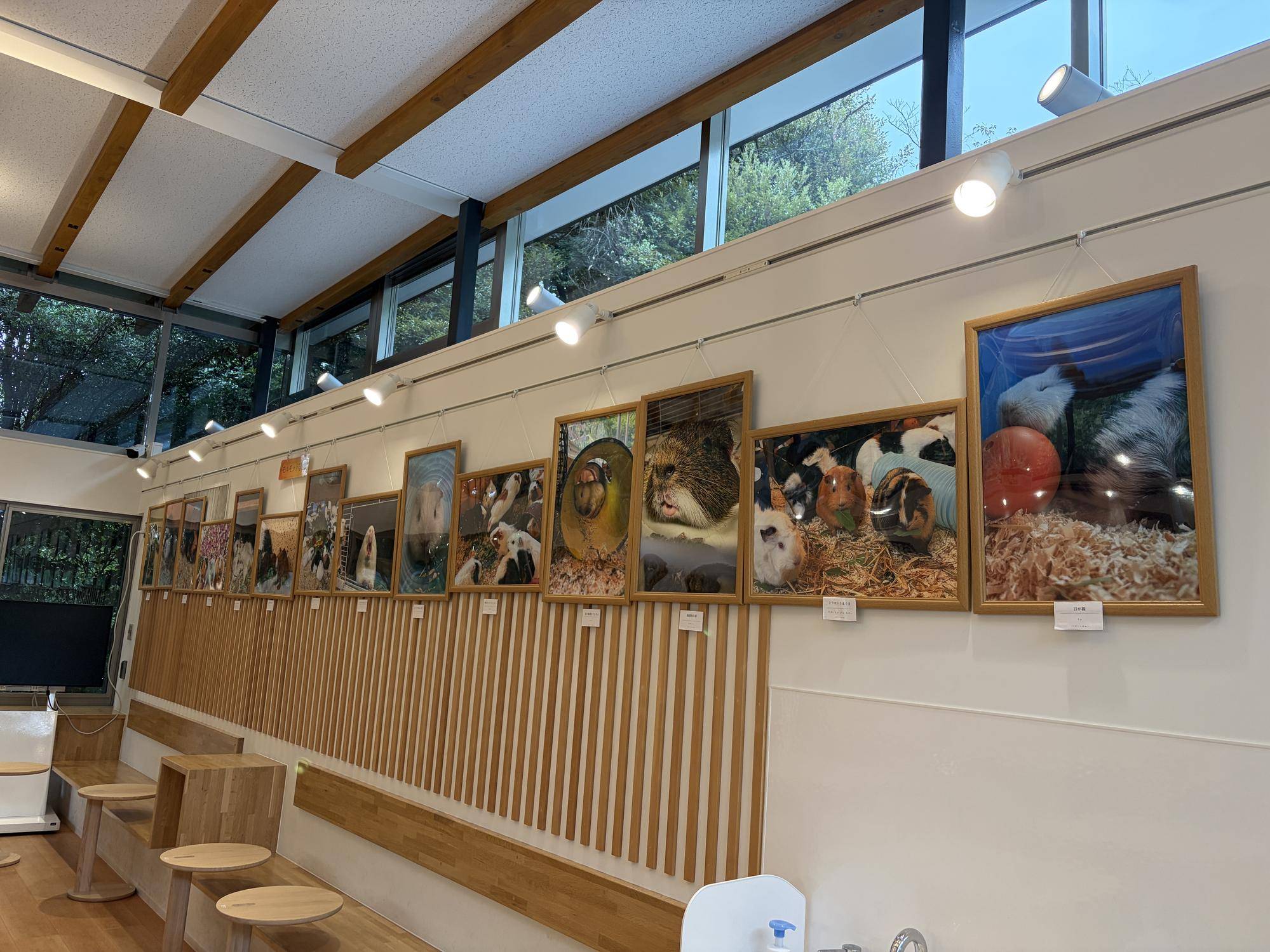 のげもる写真展①.jpg