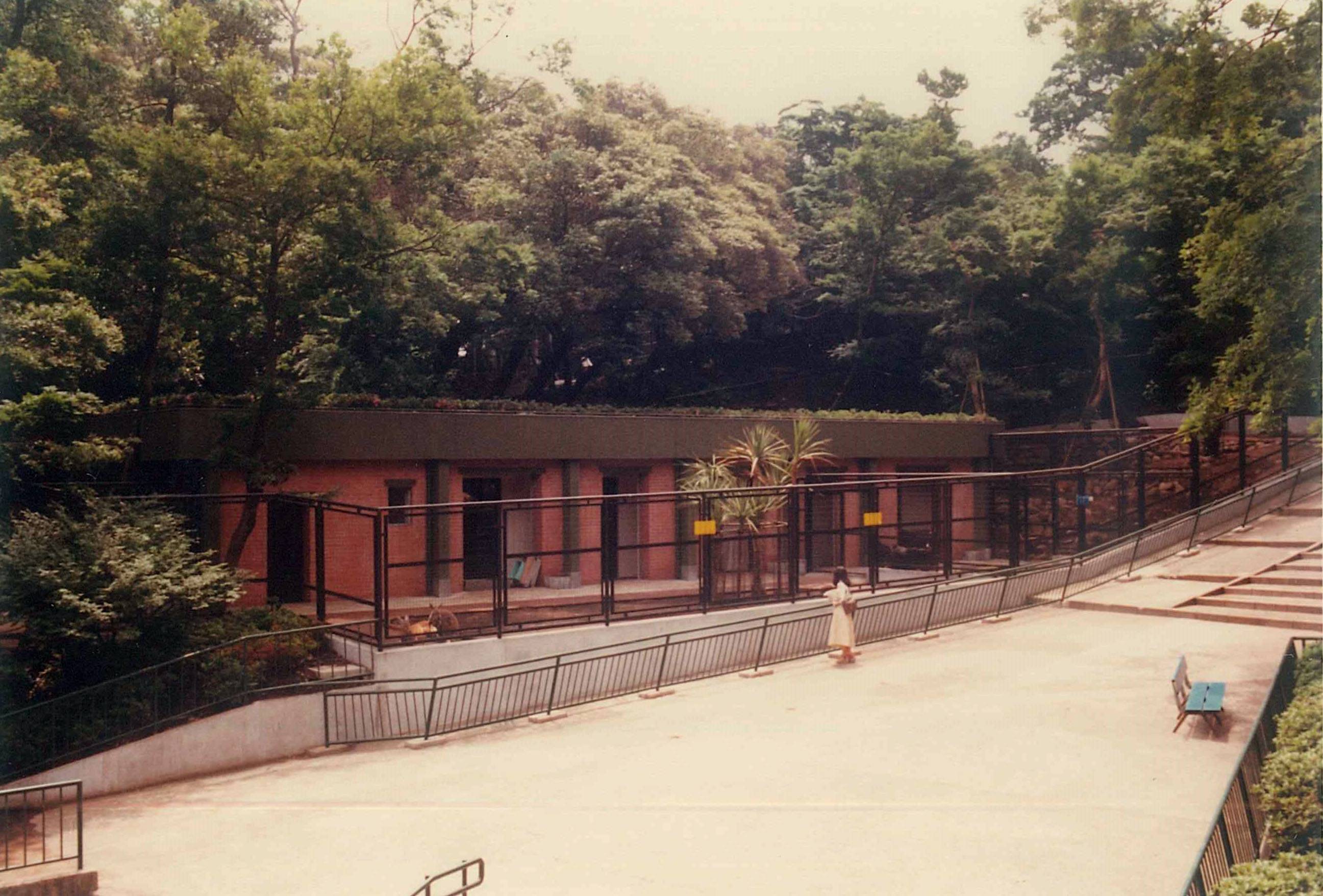 1977年シカバクカンガルー舎.jpg