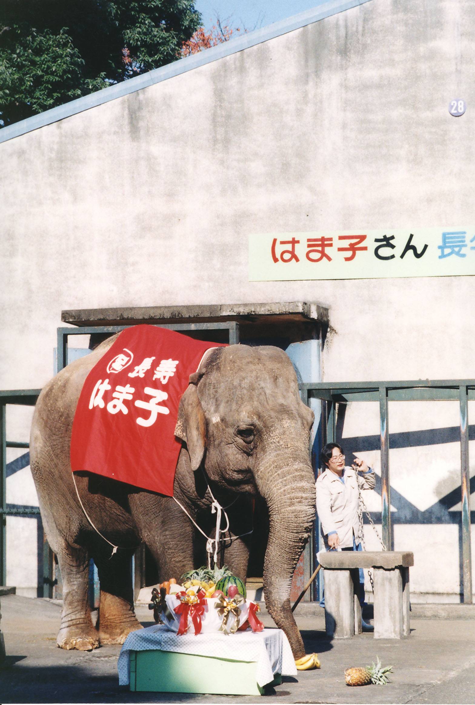 50周年.jpg