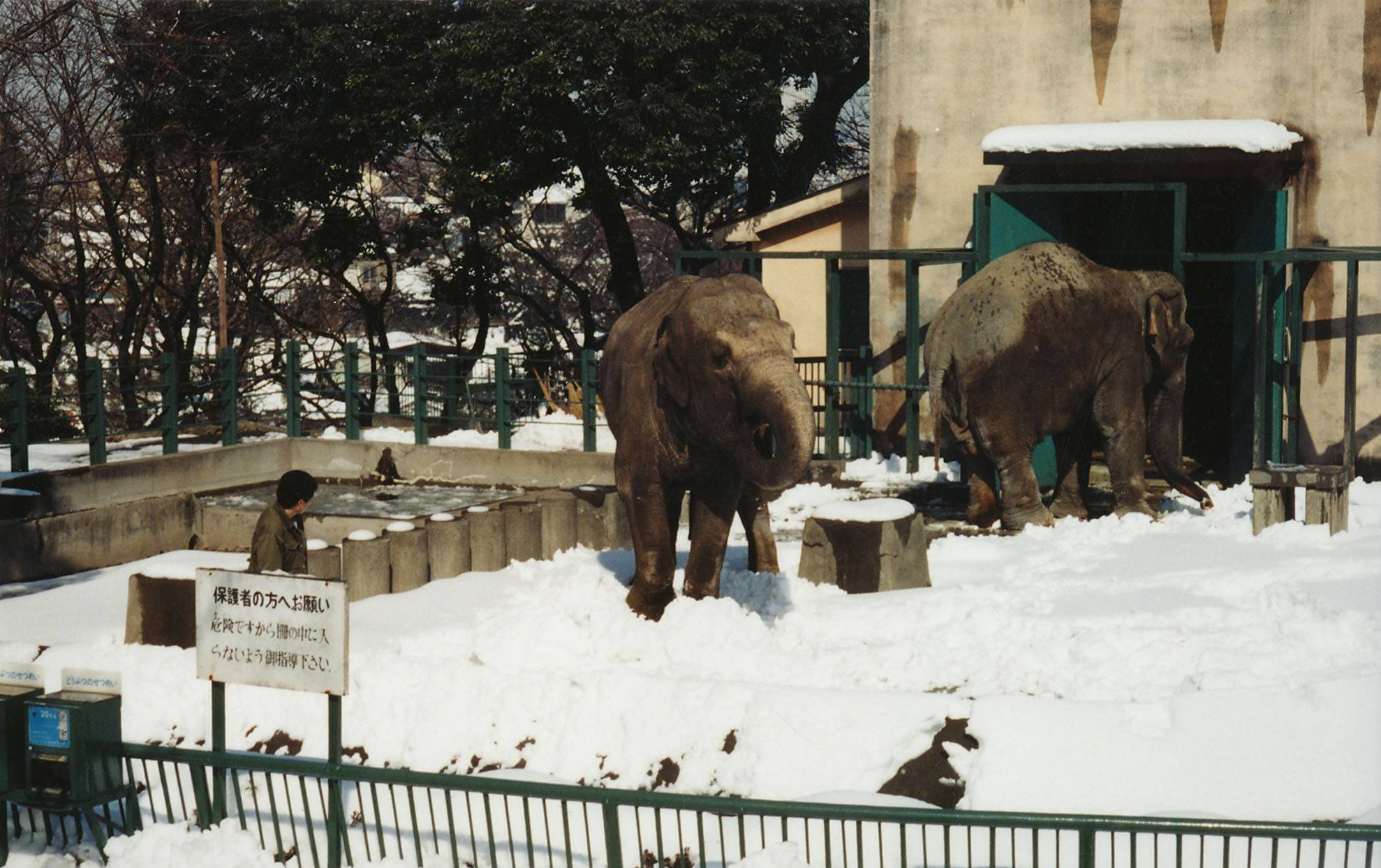 雪.jpg