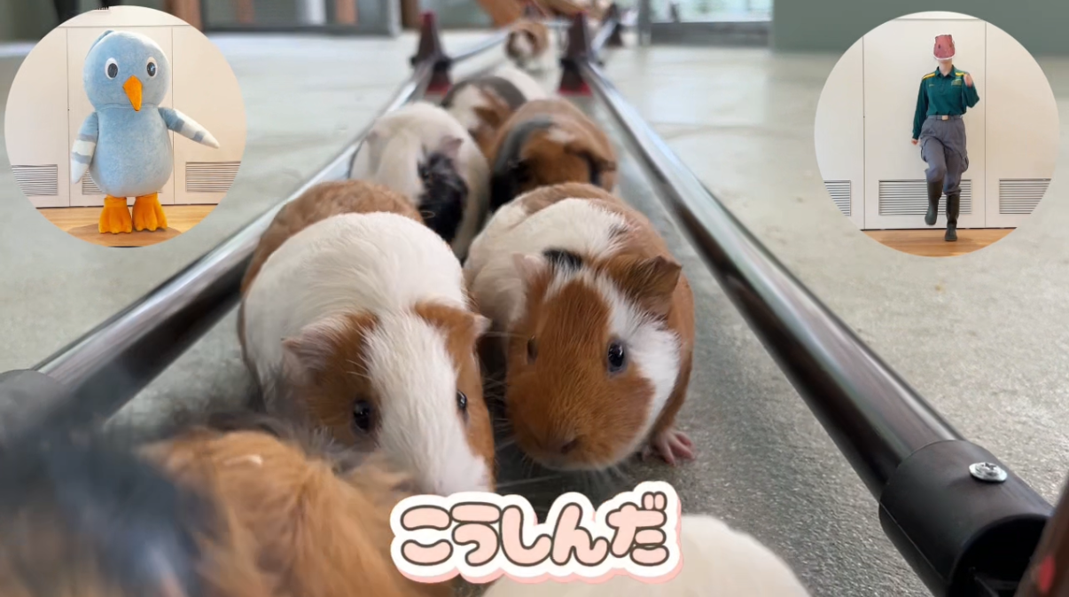 動画の中間.png