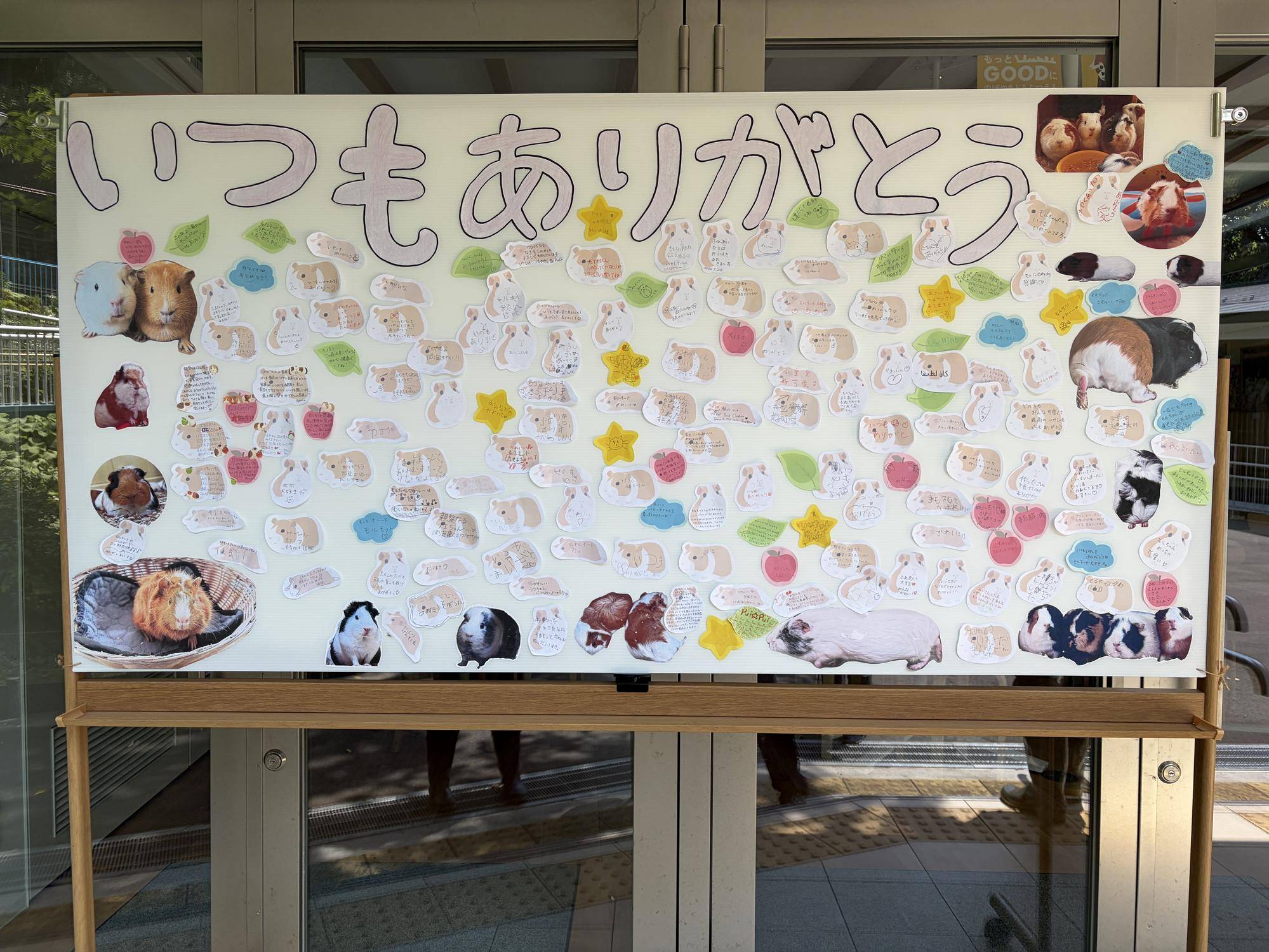 モルモットたちへ愛のメッセージ.jpg