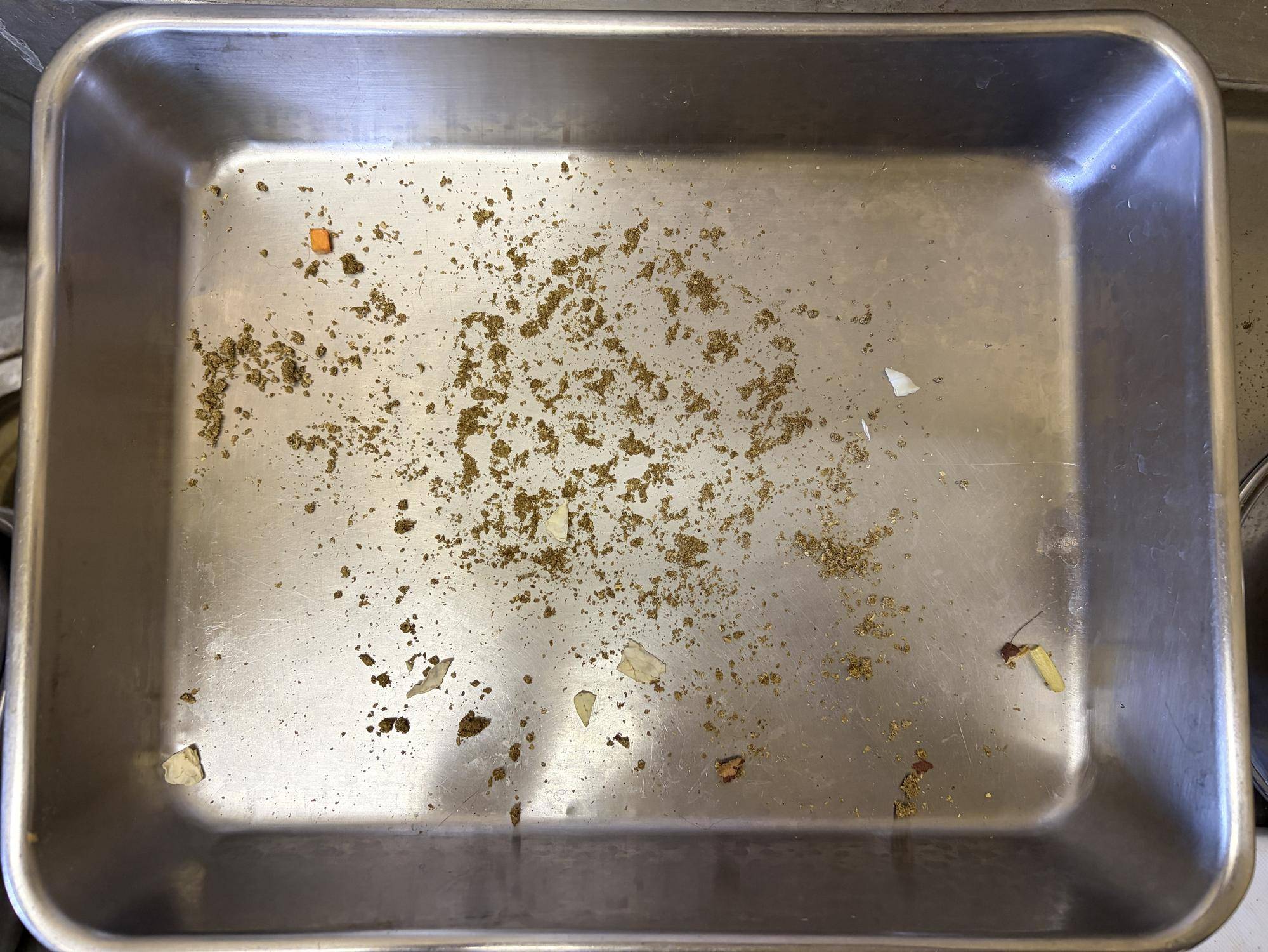 完食!.jpg