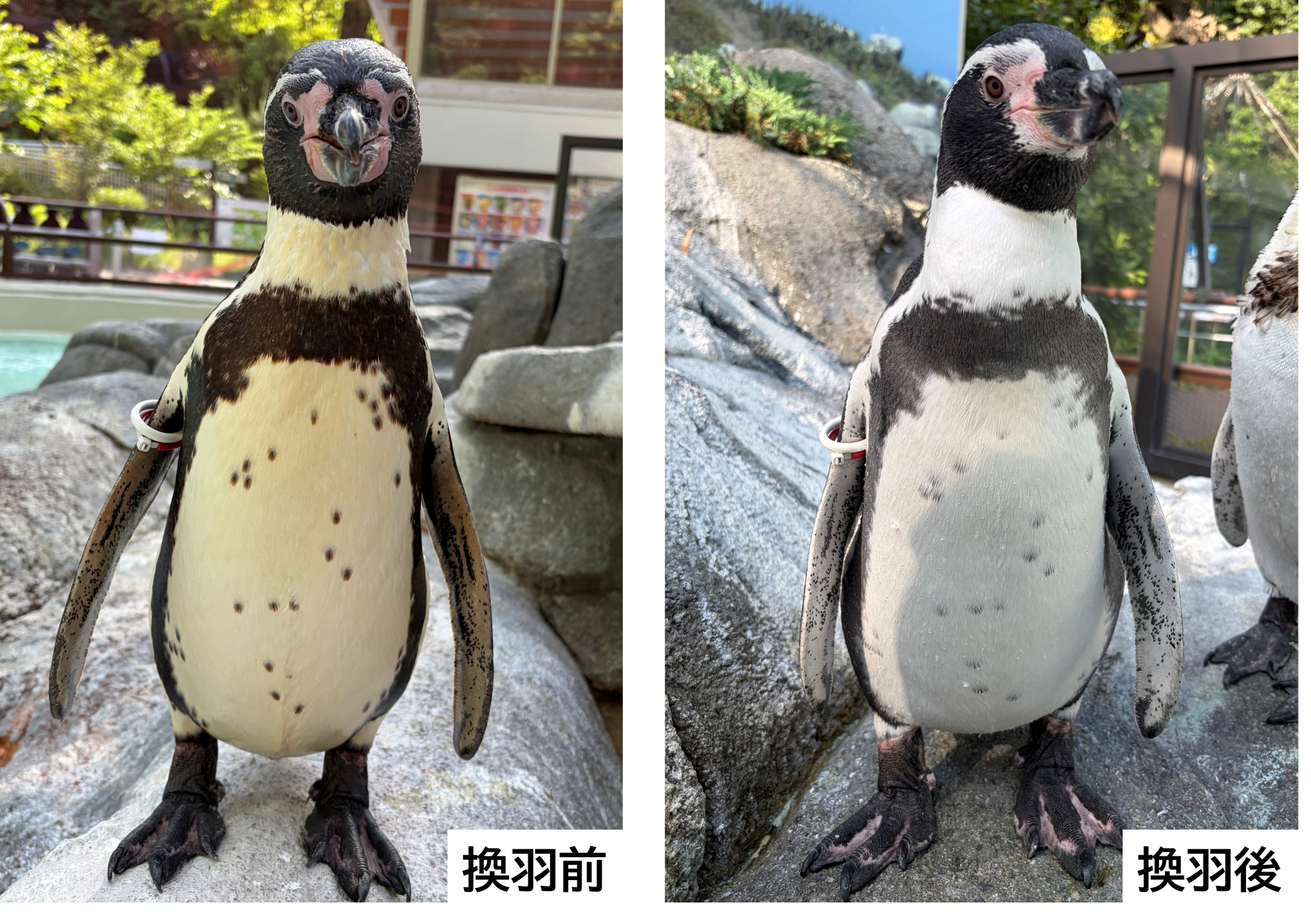 斑点.png