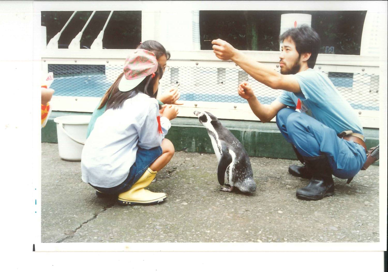 一日飼育① (2).jpg