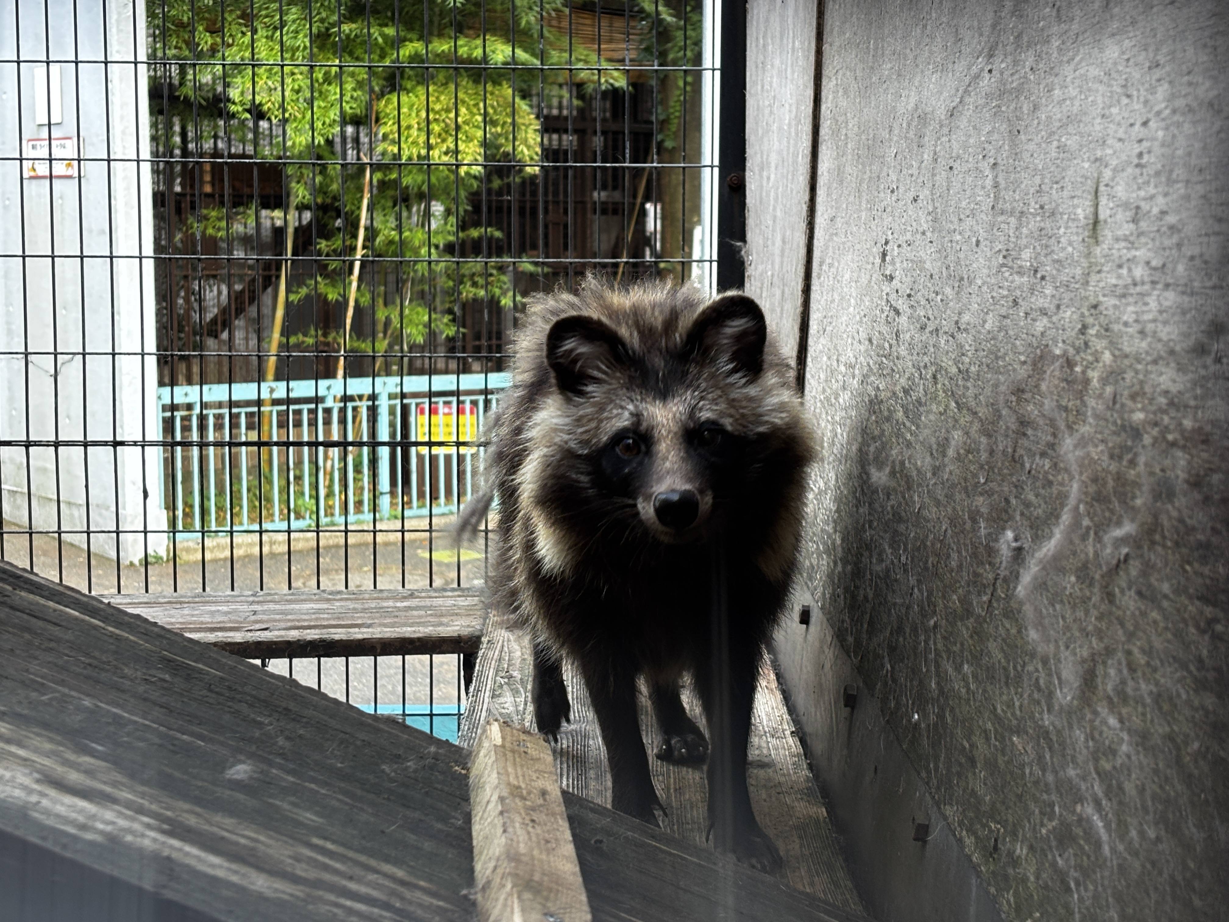 ⑬6月末のウタ.jpg