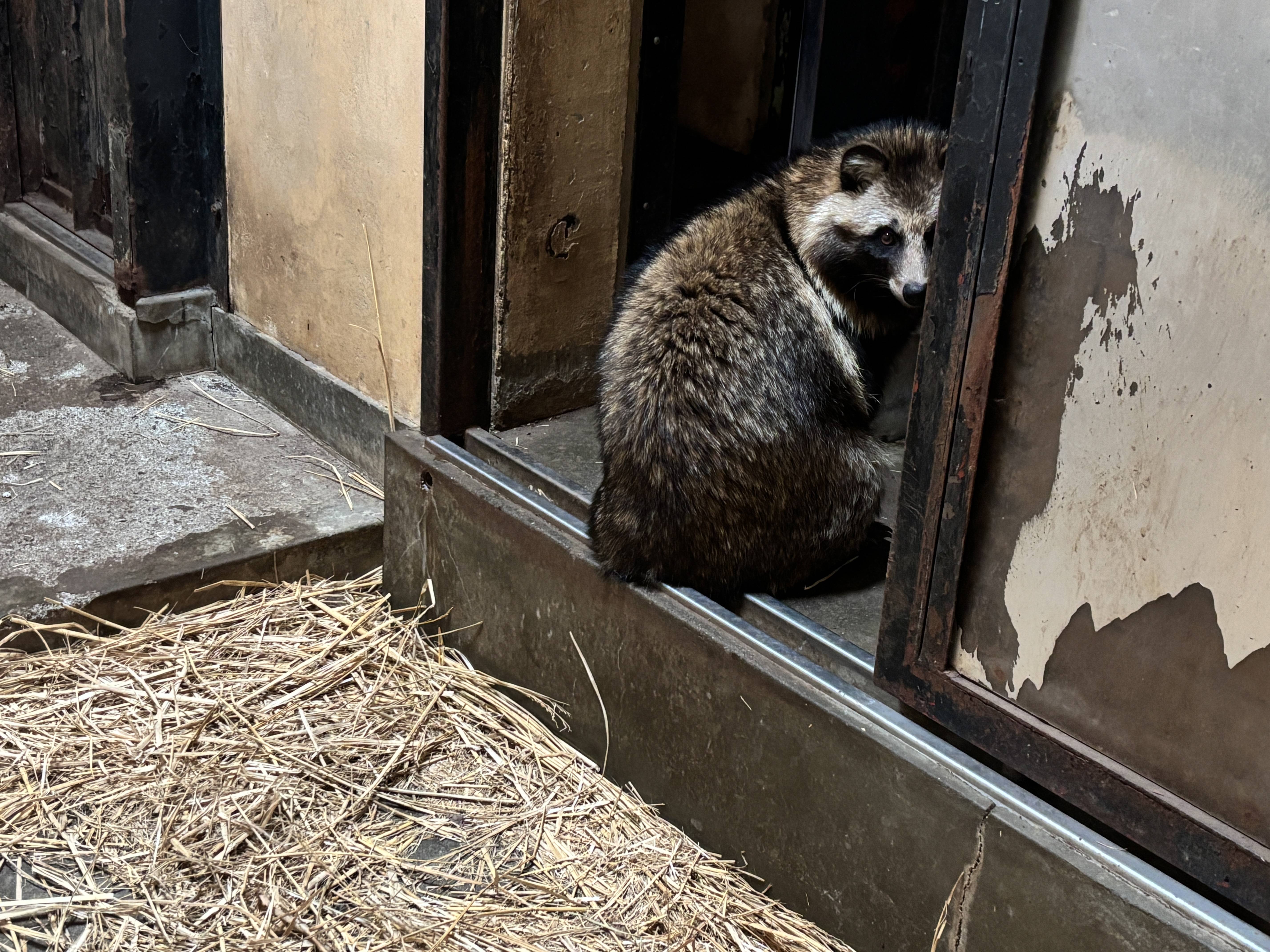 ⑫正解はウタでした！.jpg