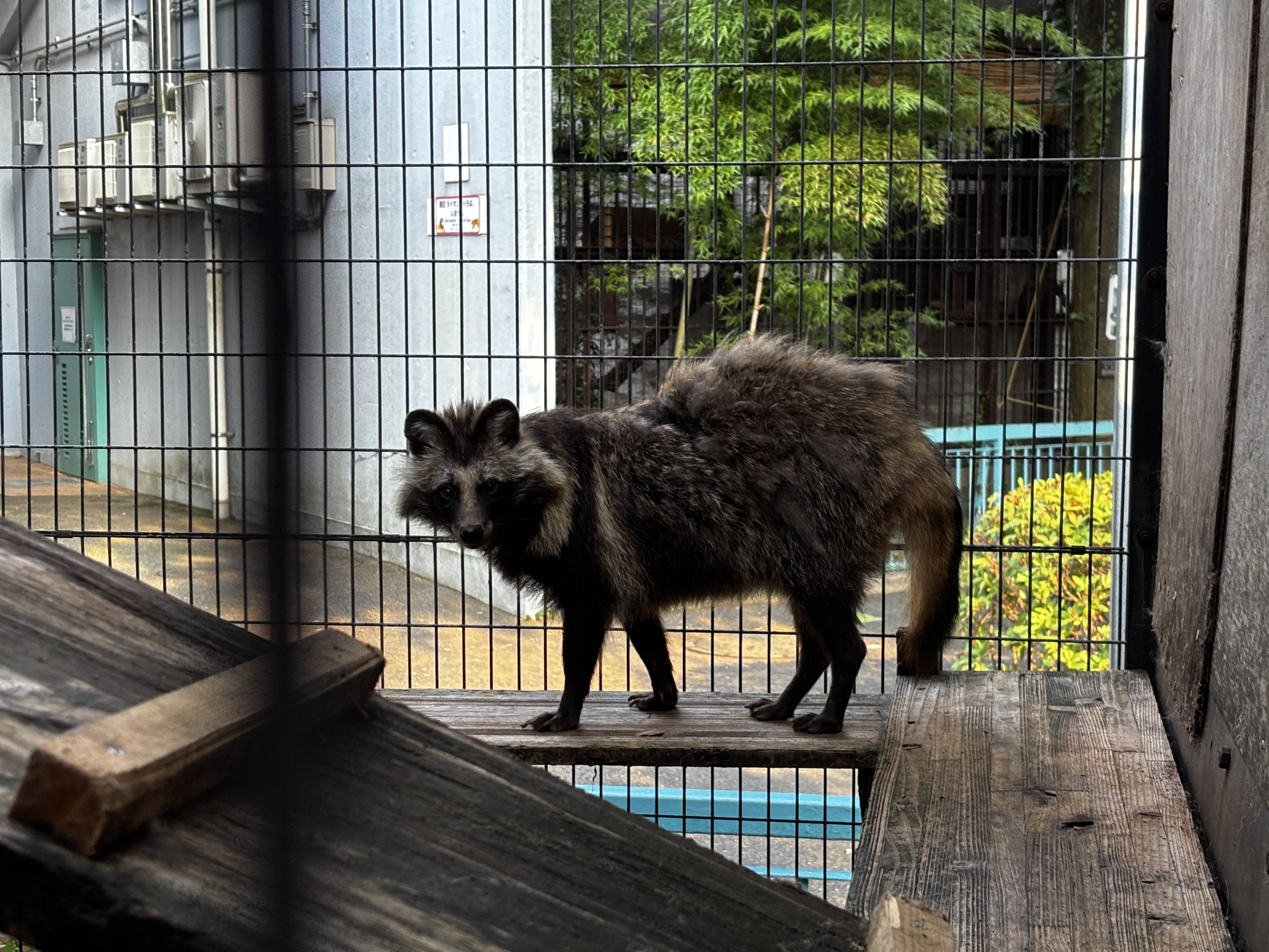 ⑦アバンギャルドなウタの背中.jpg
